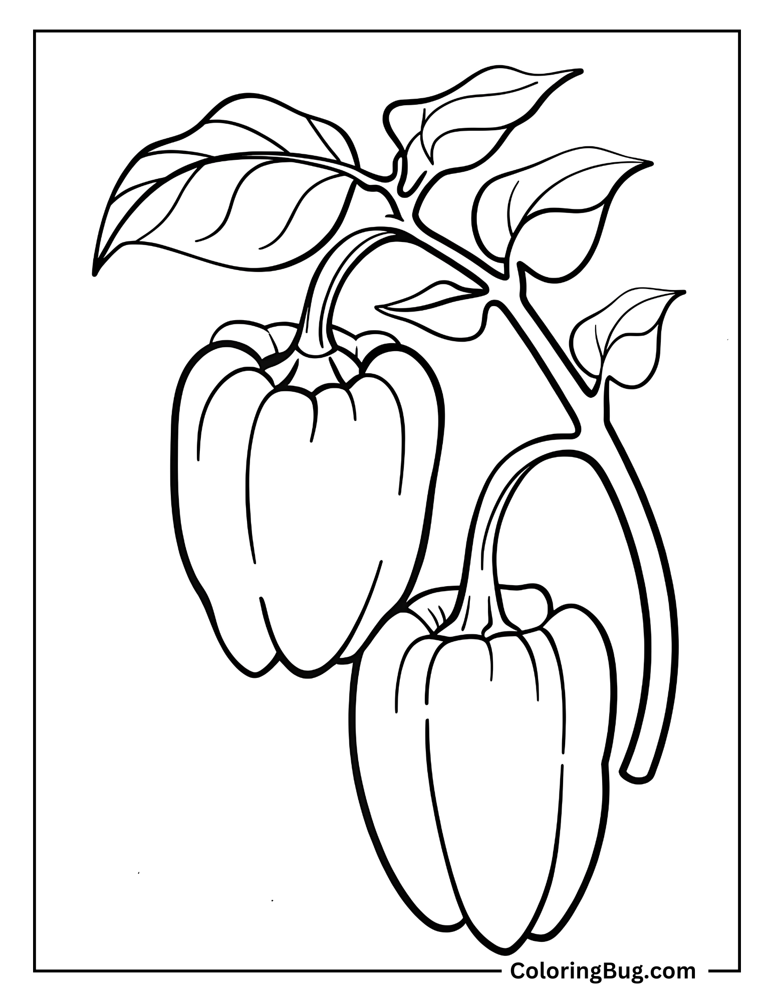 Pair Of Bell Peppers On a Vine Coloring Sheet