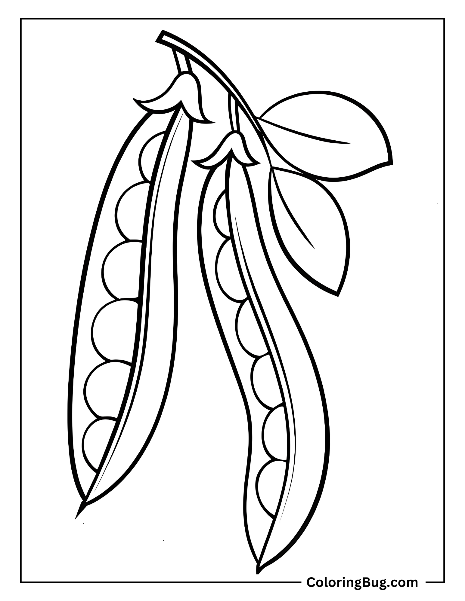 Patch Of Green Beans Growing On The Vine Coloring Sheet