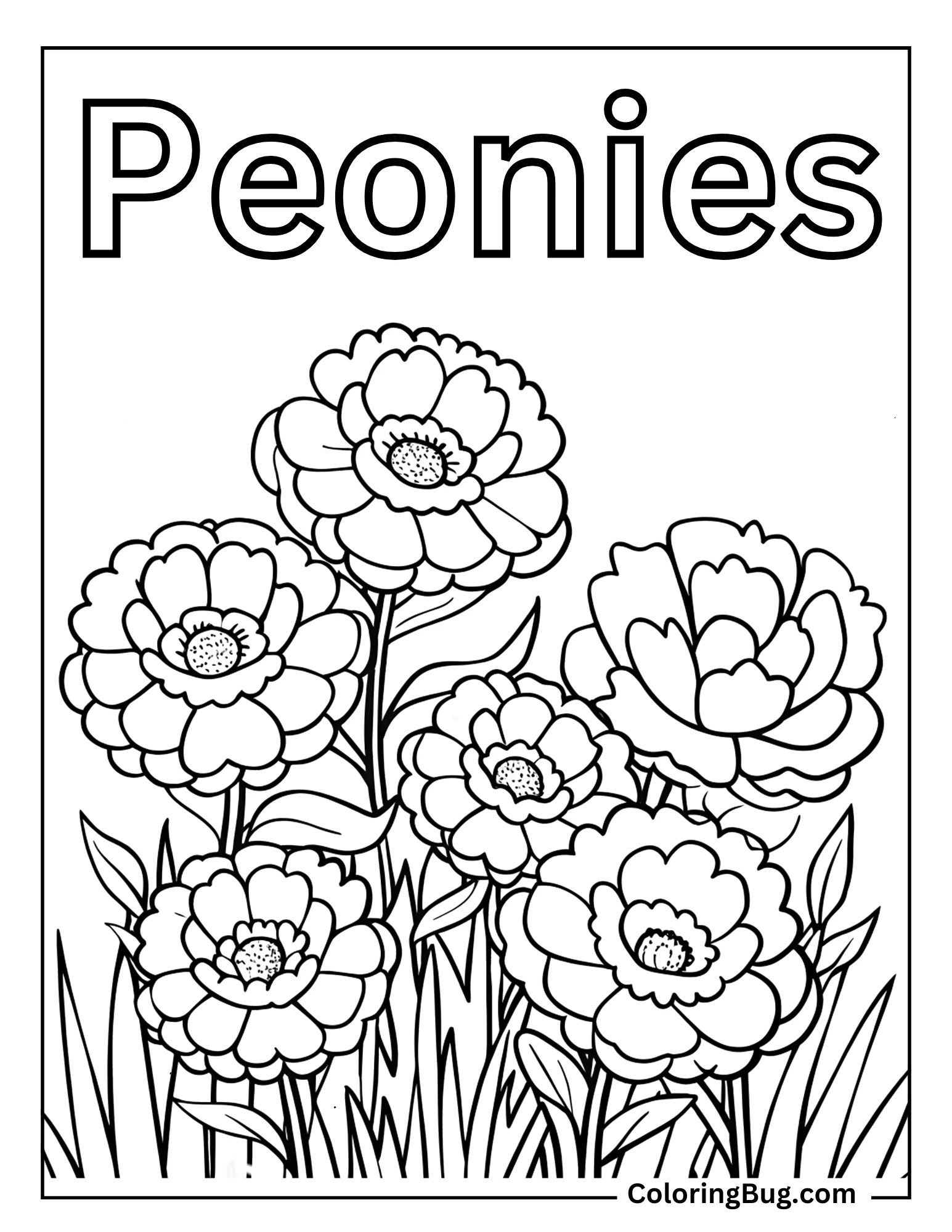 Peonies Plants Blooming Coloring sheet