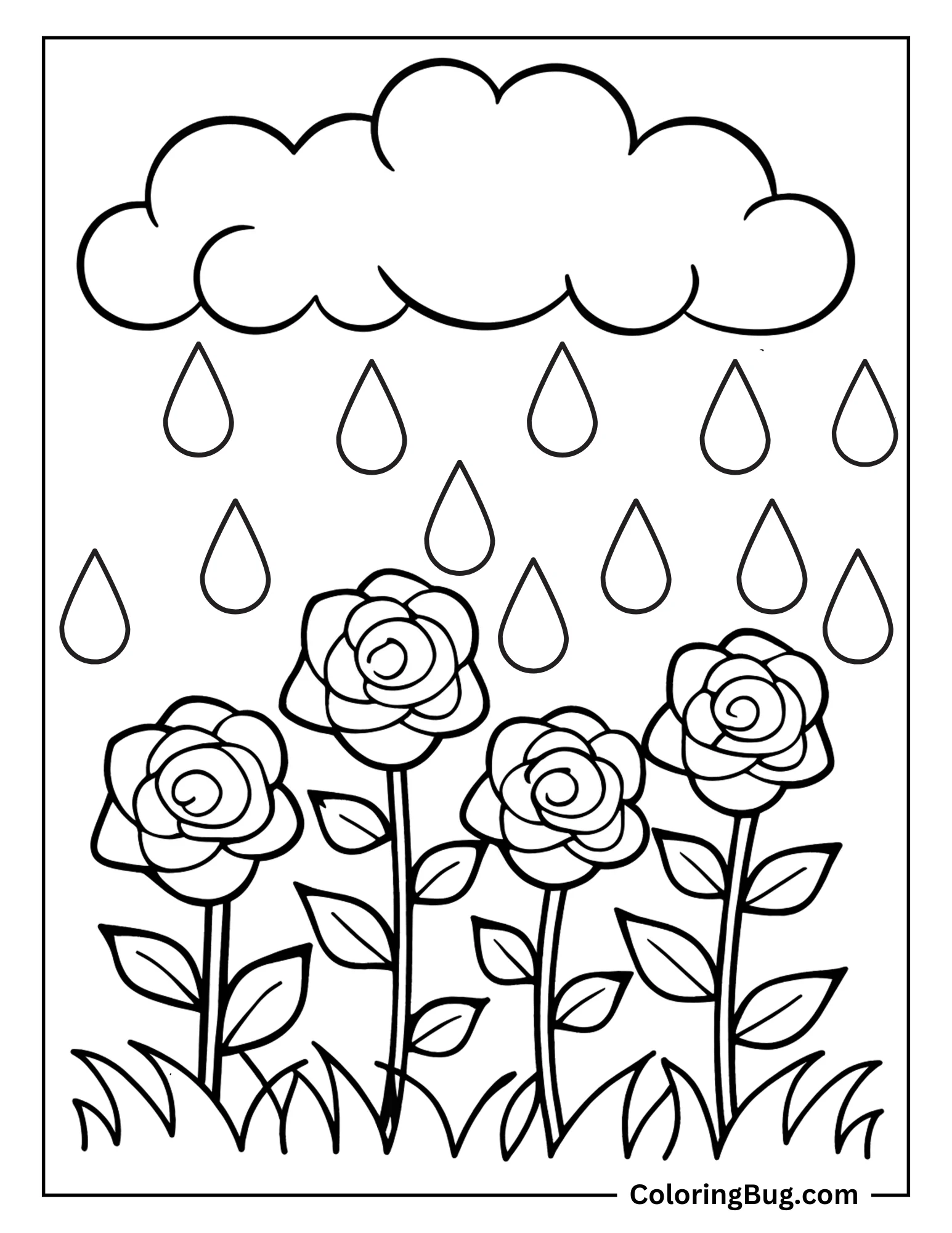 Roses Field Under Spring Rain Coloring Sheet