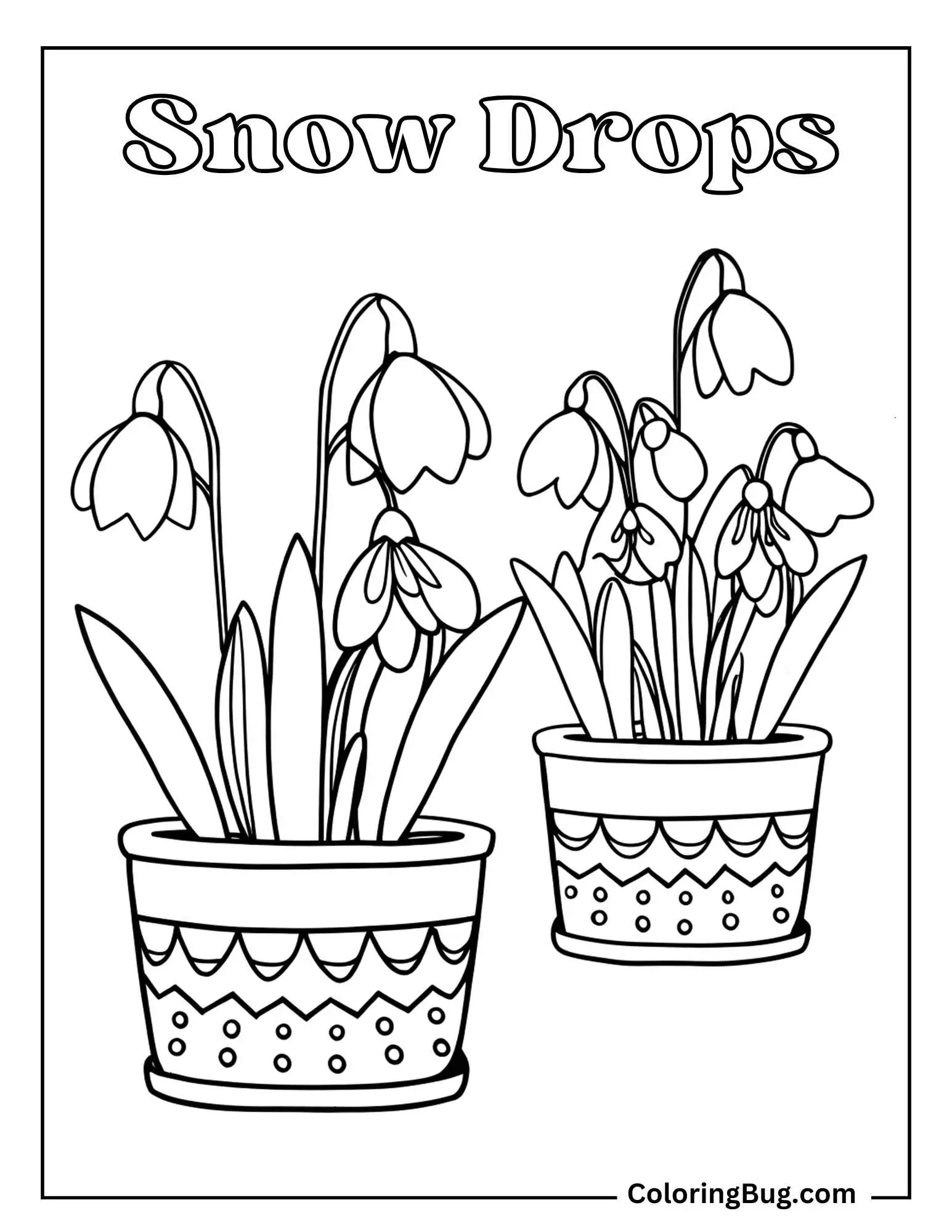 Snow Drops in Pots Coloring sheet