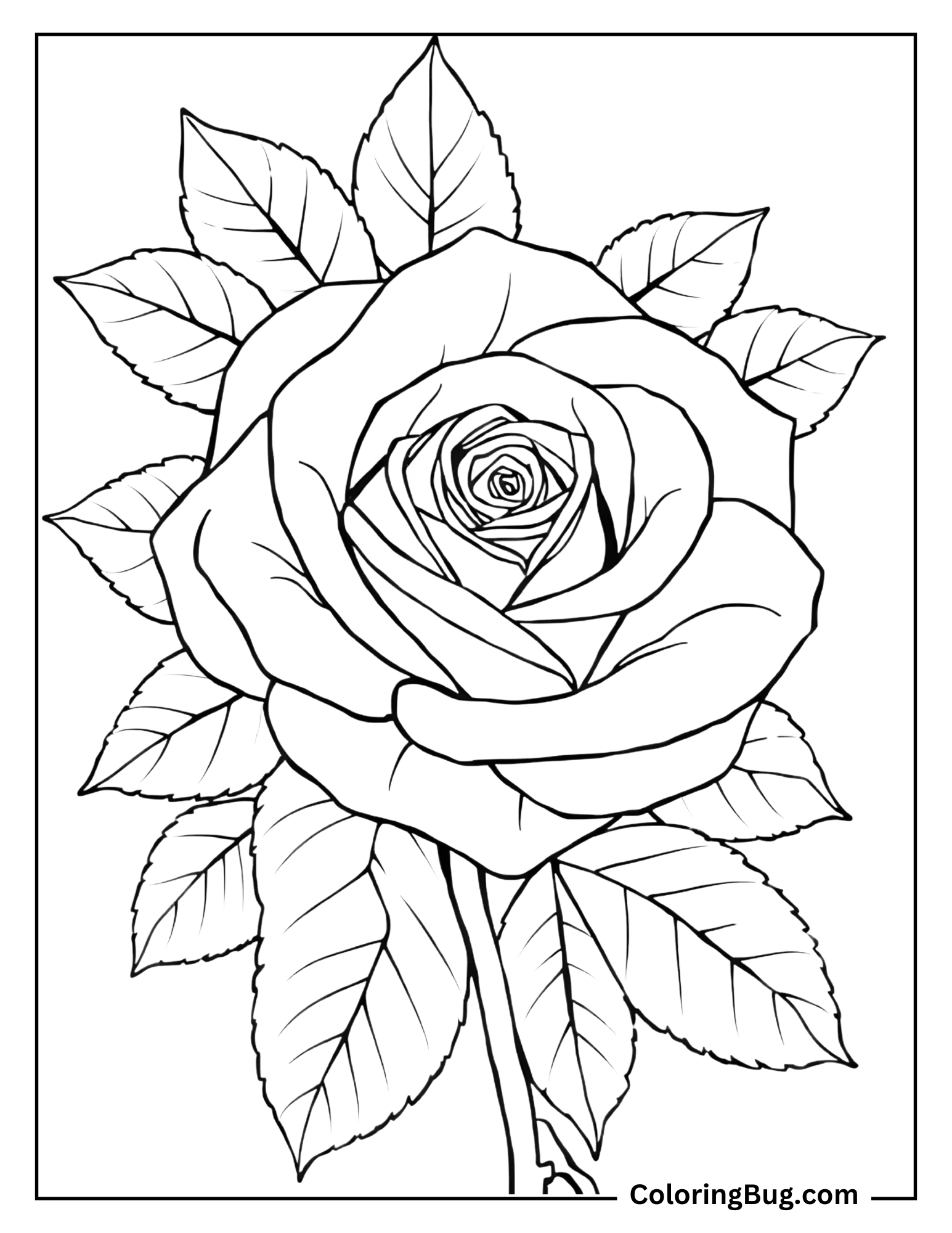 Valentine’s Day Rose Coloring Sheet