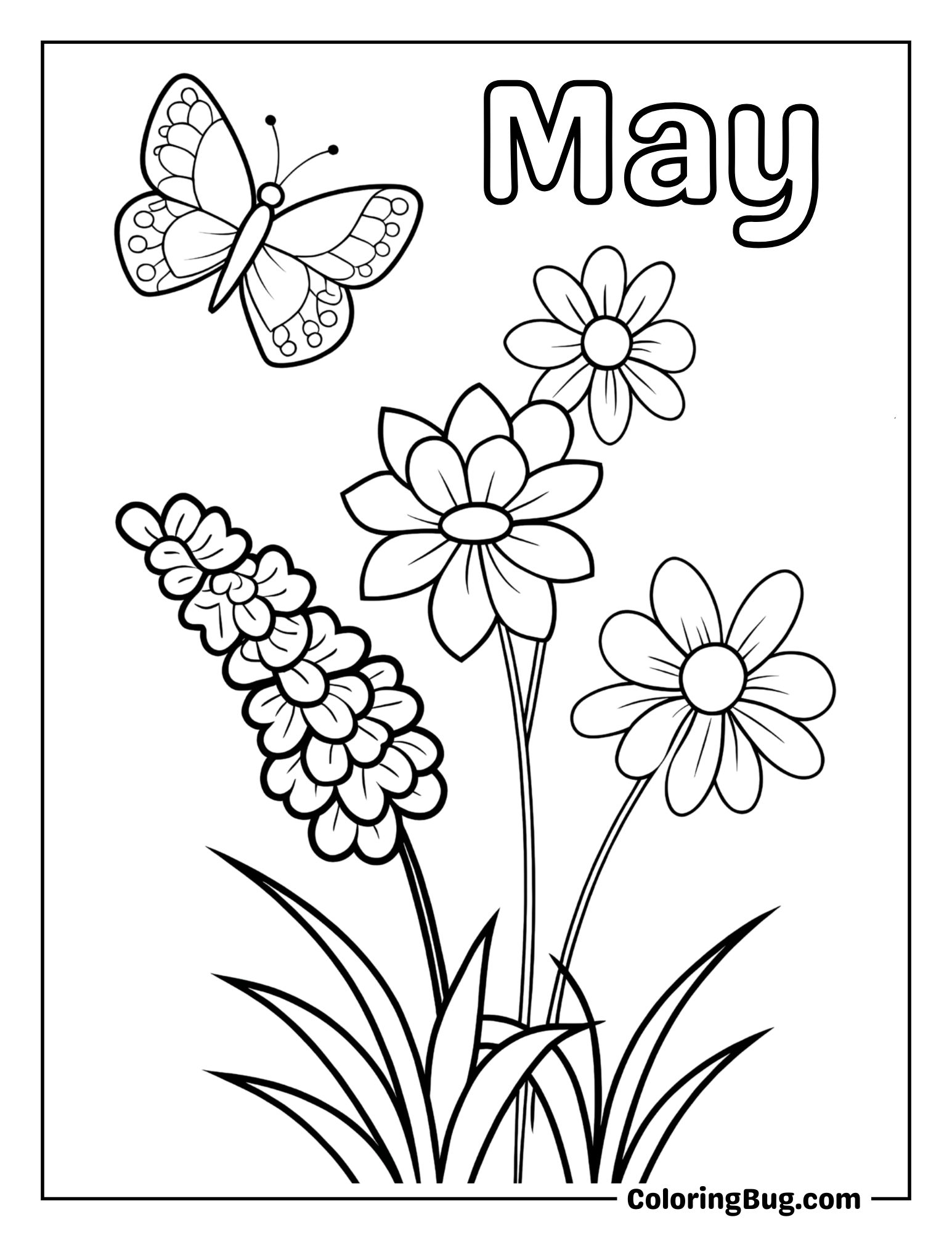Butterfly with a Variety of Flowers Coloring Sheet