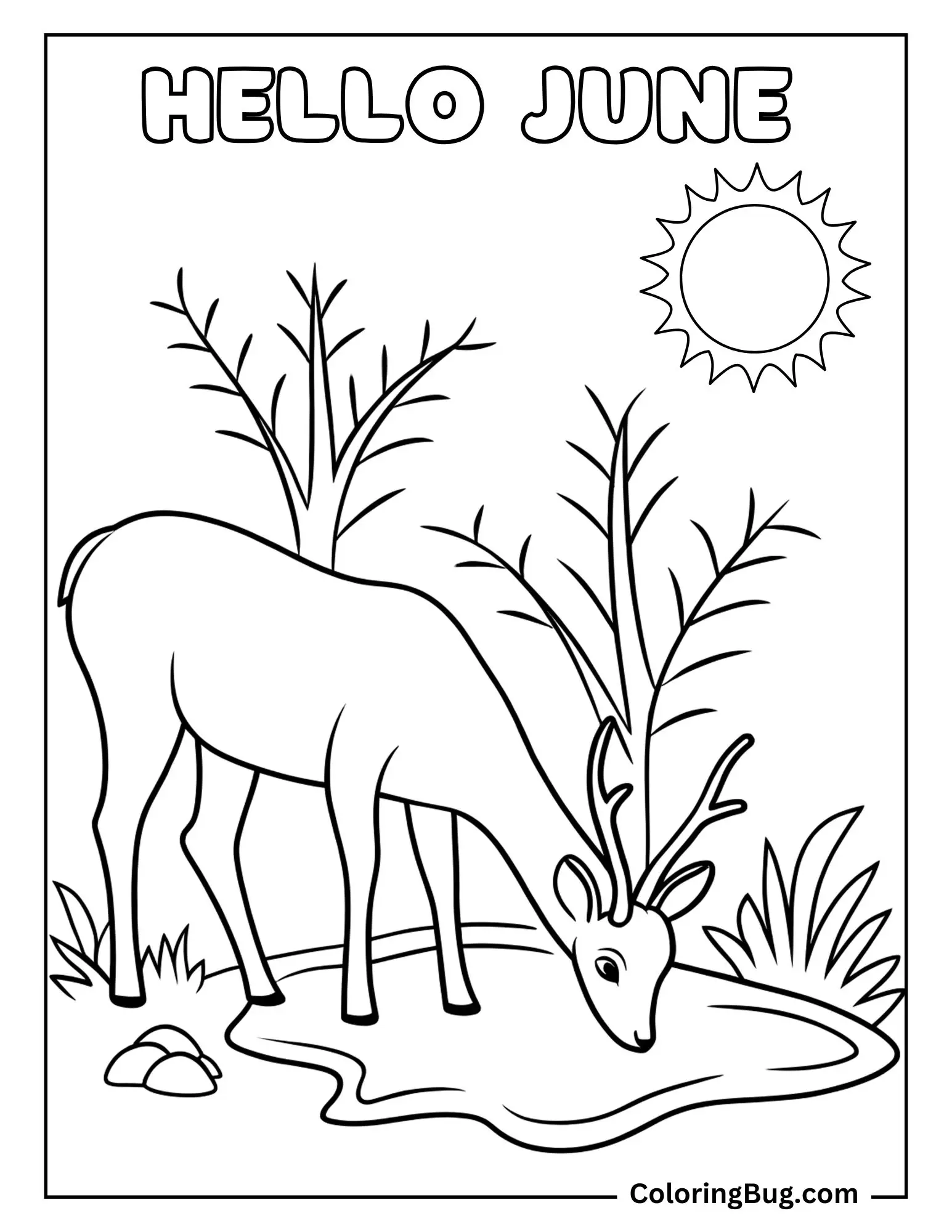 Deer Drinking From Stream on a Sunny June Day Coloring sheet