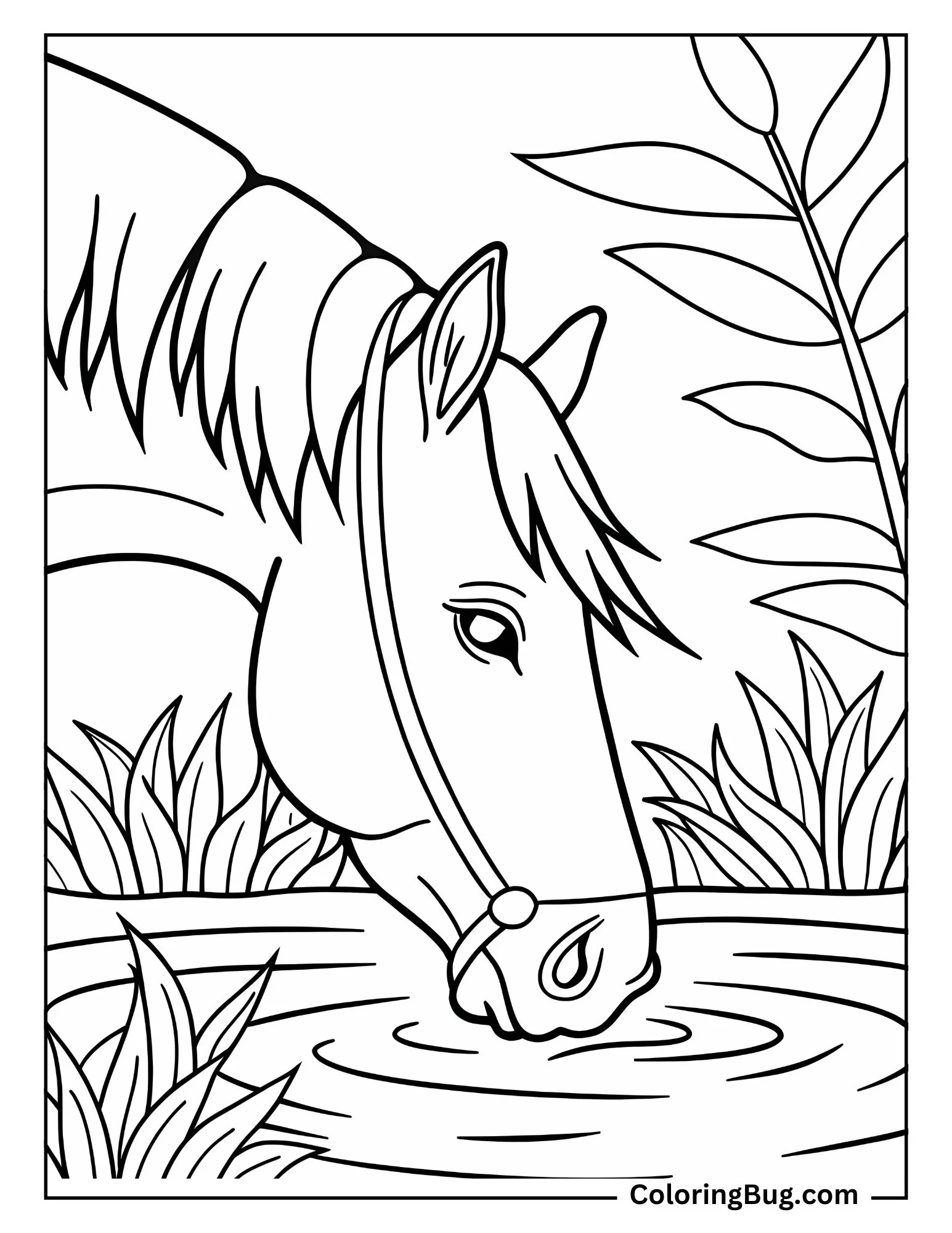 Horse Drinking water From River Coloring sheet
