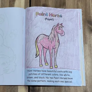 Horses and Ponies Coloring Book Page of Paint Horse with Fact