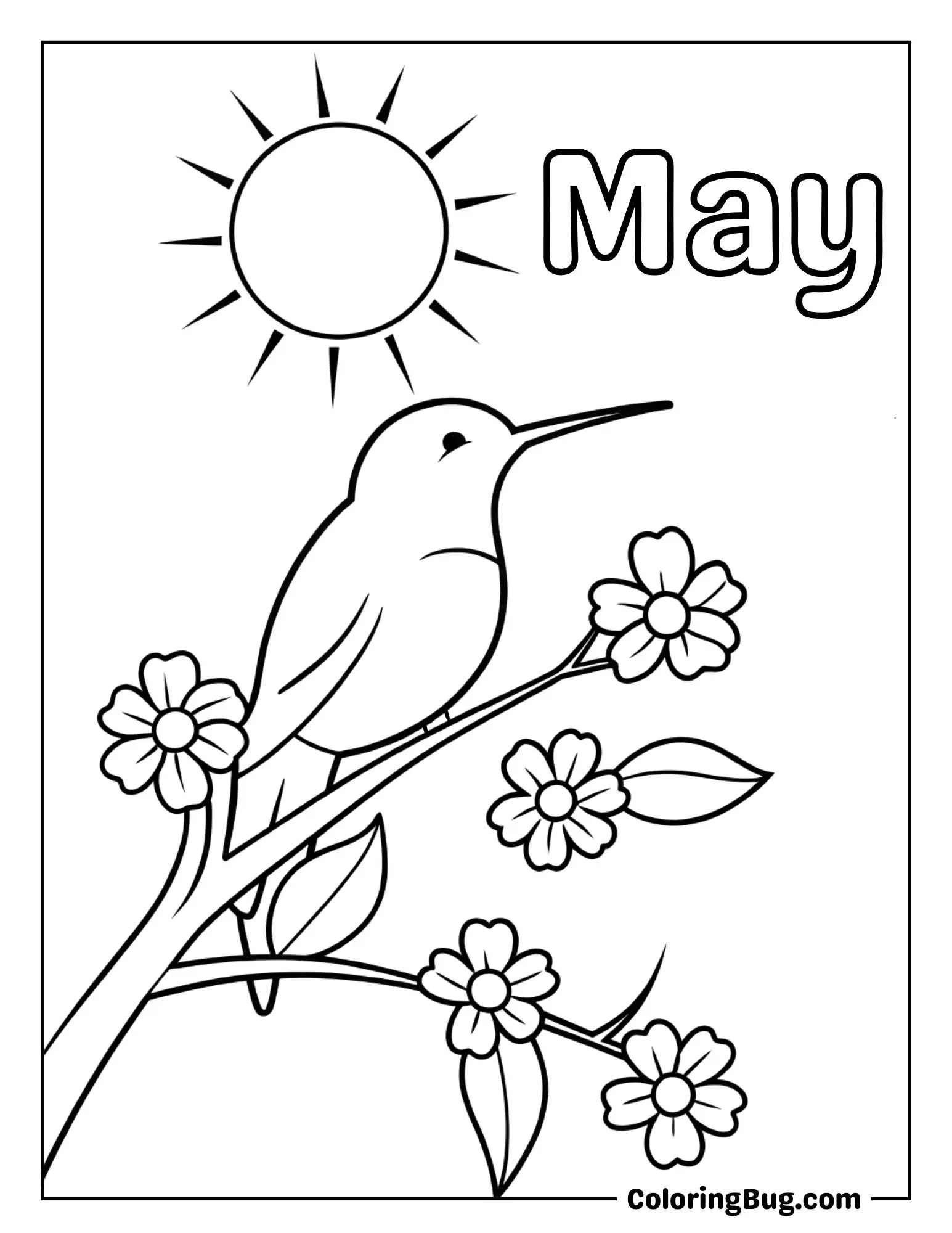 Humming Bird Perched on a Tree Branch with Blossoms Coloring Sheet