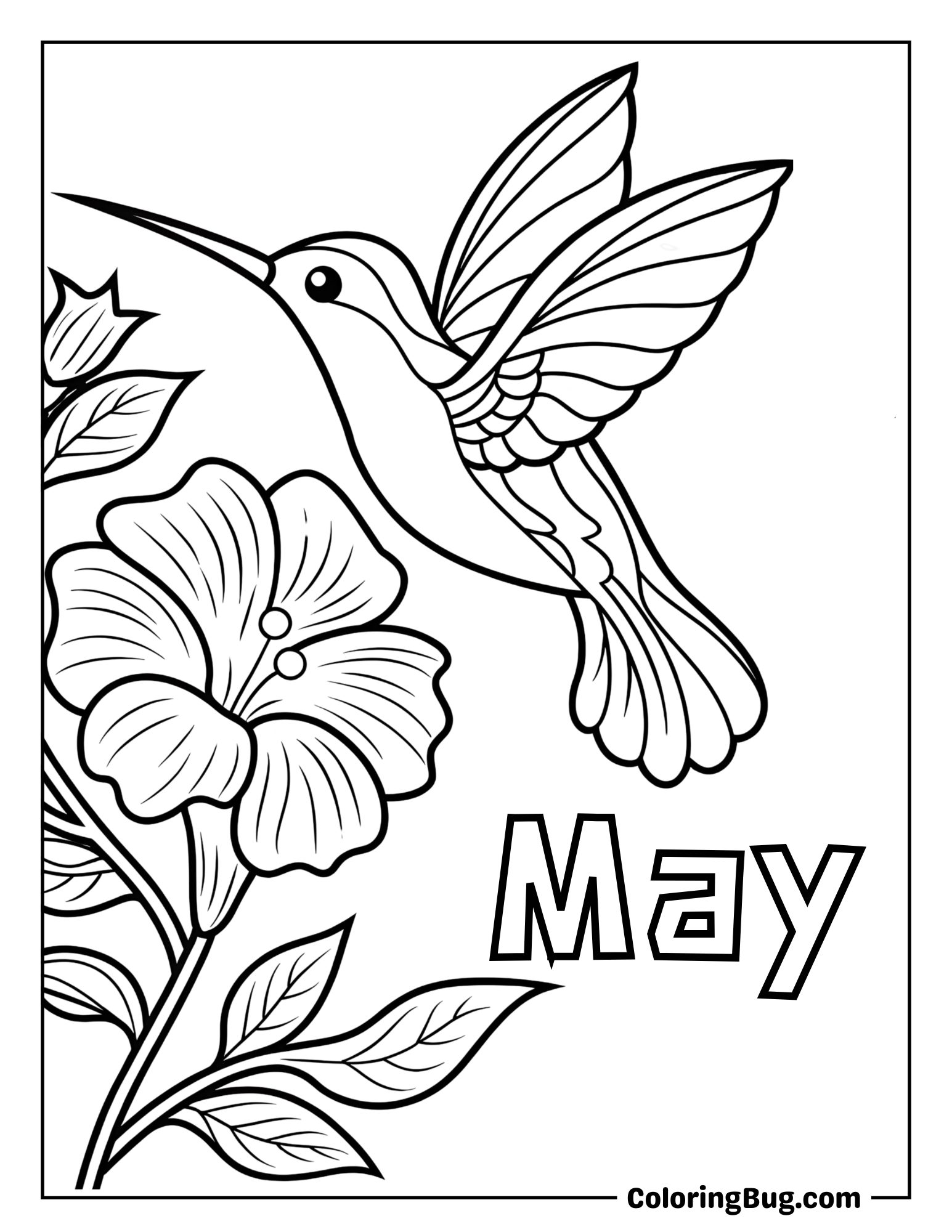 Hummingbird Sipping Nectar From a Flower Coloring Sheet