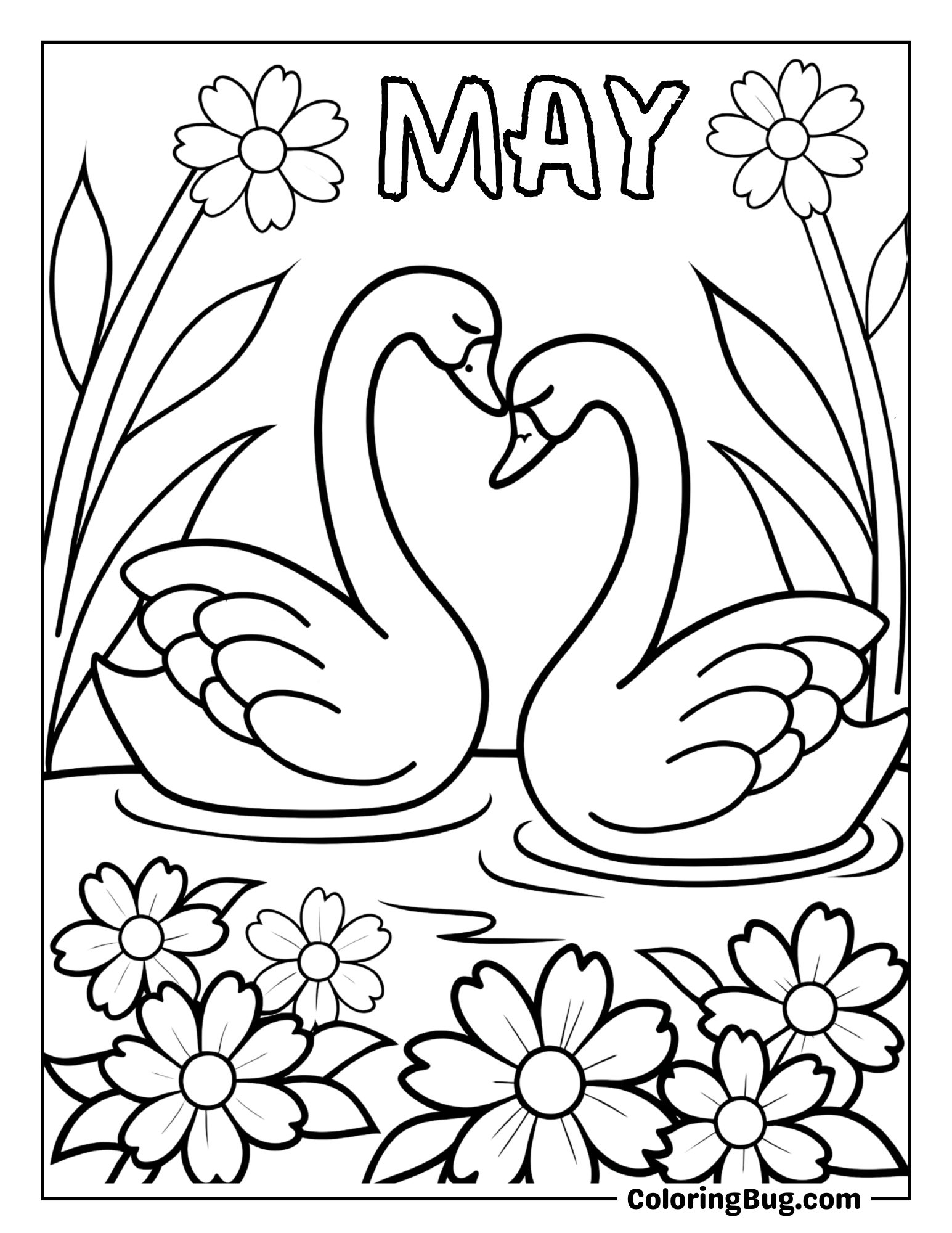Pair of Swans Swimming Gracefully on a Pond Coloring Sheet