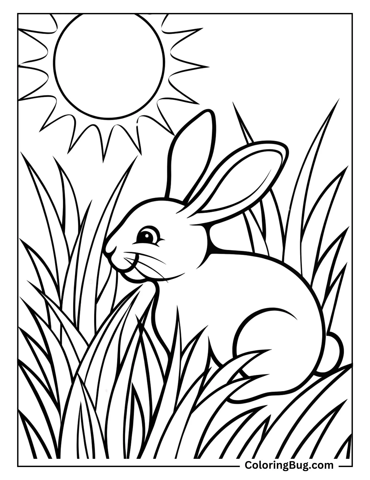 Rabbit Sitting Under Tall Grass Meadow While The June Sun Shines Coloring sheet