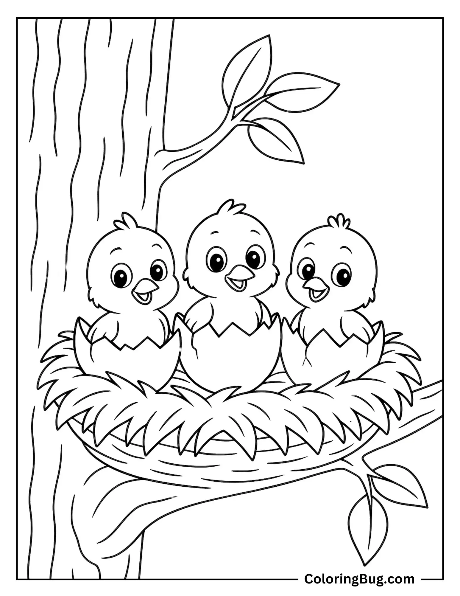 3 Cute Baby Chicks Hatching From Eggs Coloring sheet