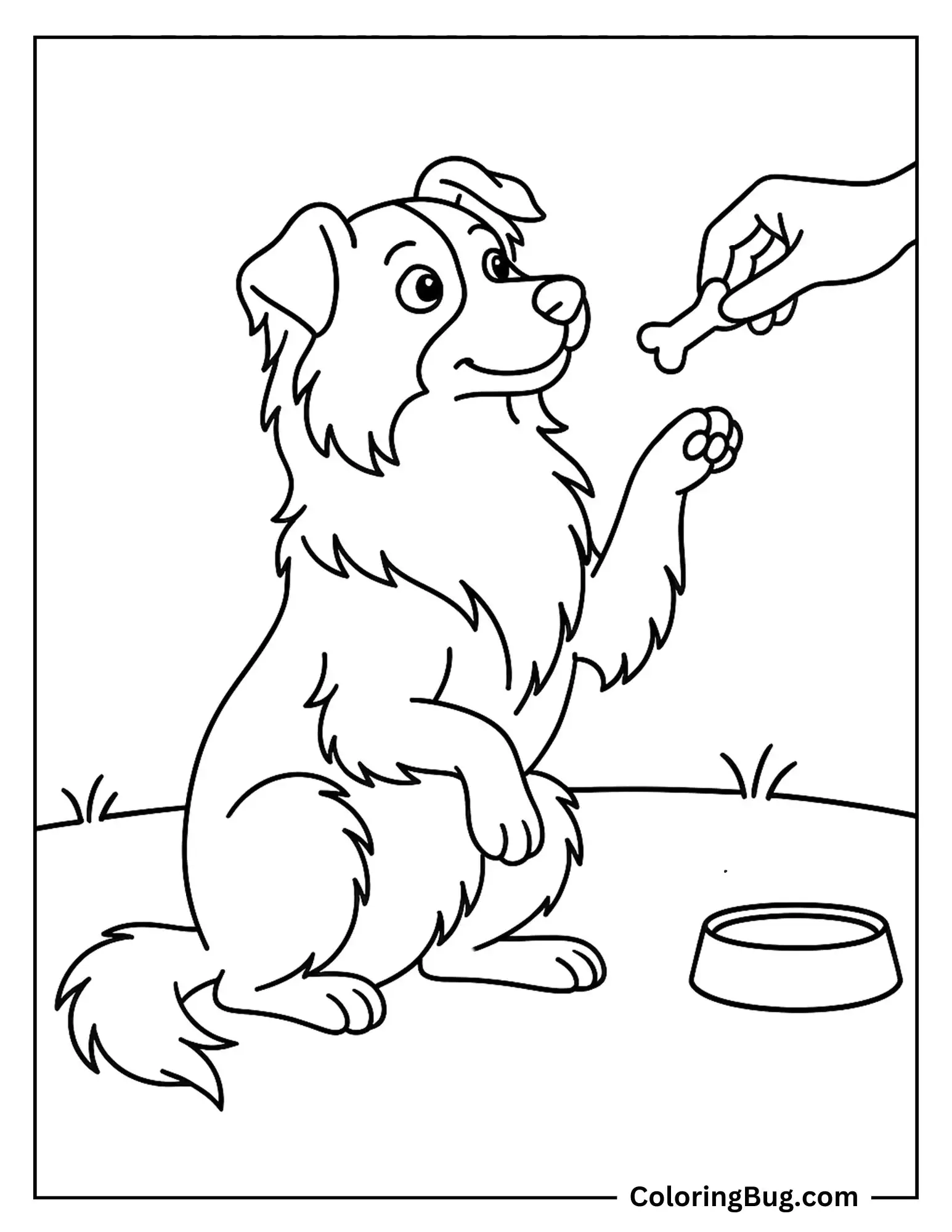 Australian Shepherd Doing Tricks for Treats Coloring sheet