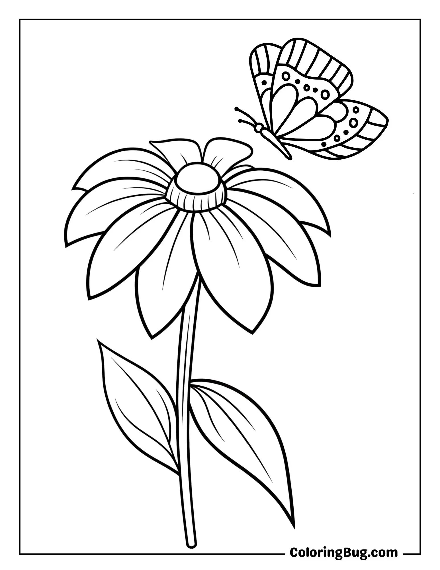 Butterfly Landing on a Black-Eyed Susan Coloring Sheet