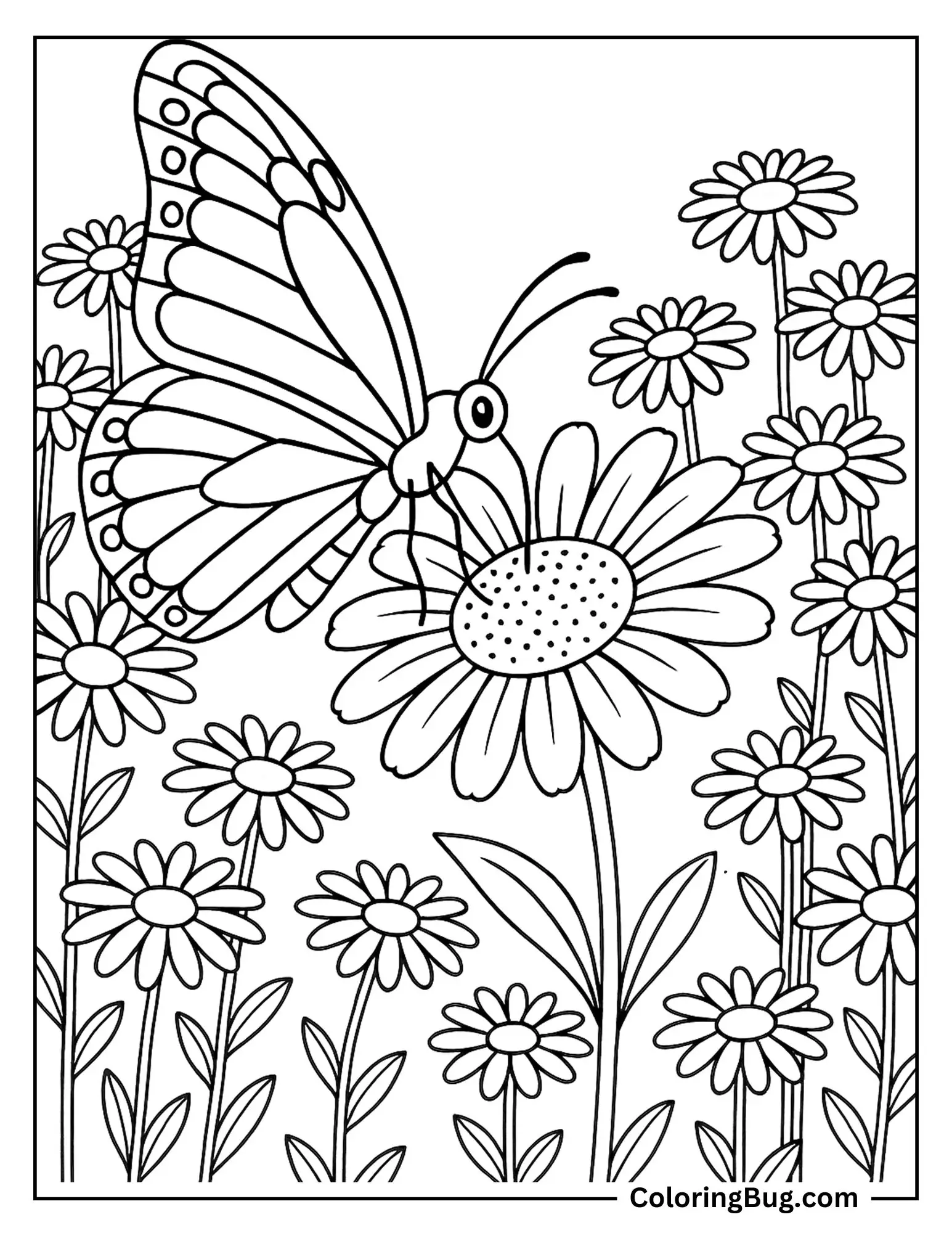 Butterfly Sipping Nectar From a Daisy Coloring sheet