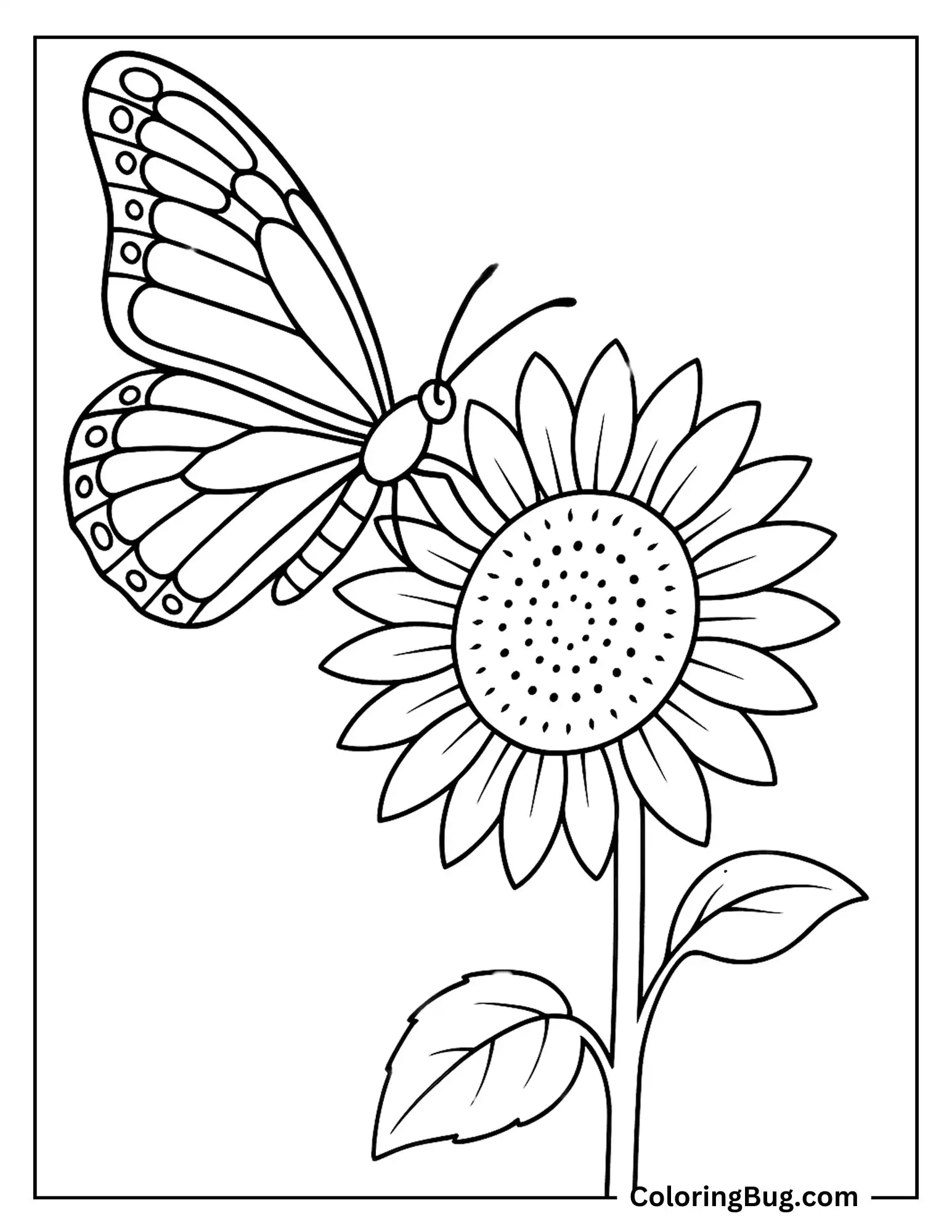 70 Butterfly Coloring Pages (Free Printable PDFs)