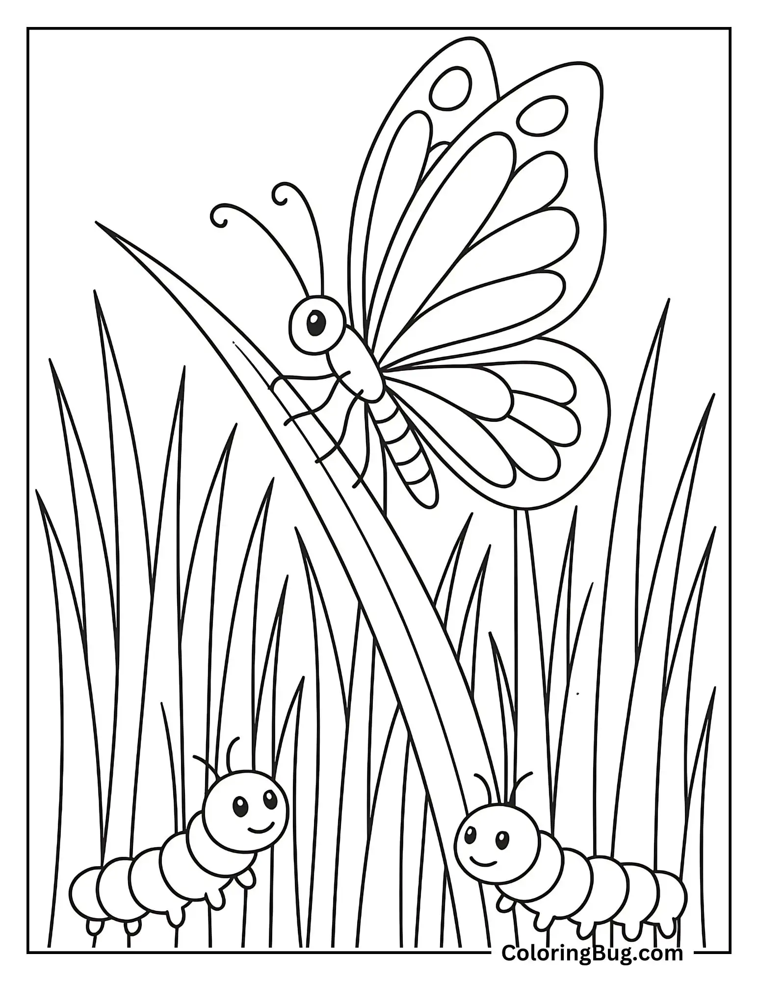 Butterfly With Caterpillars in Tall Grass Coloring sheet