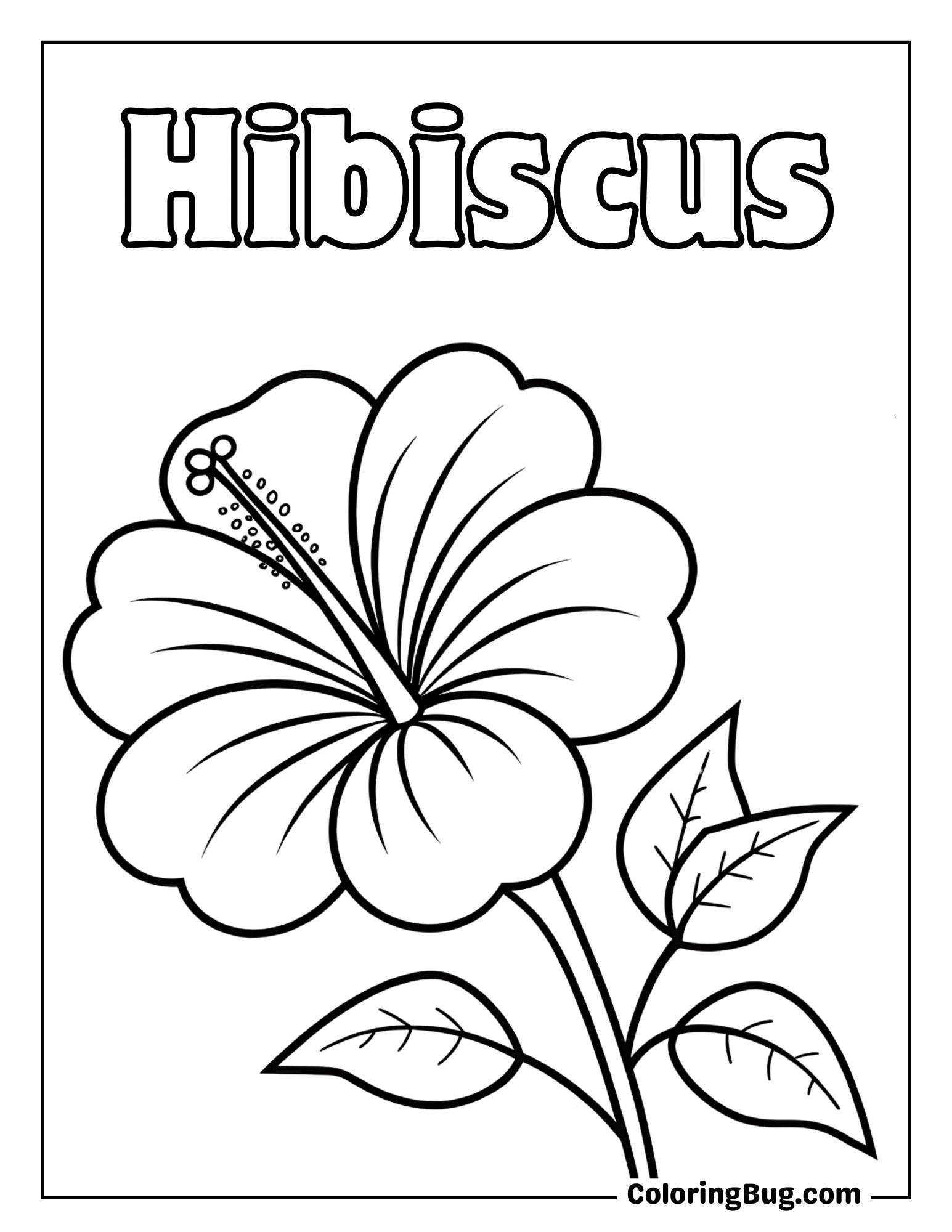 Close-Up of a Blooming Hibiscus Coloring Sheet