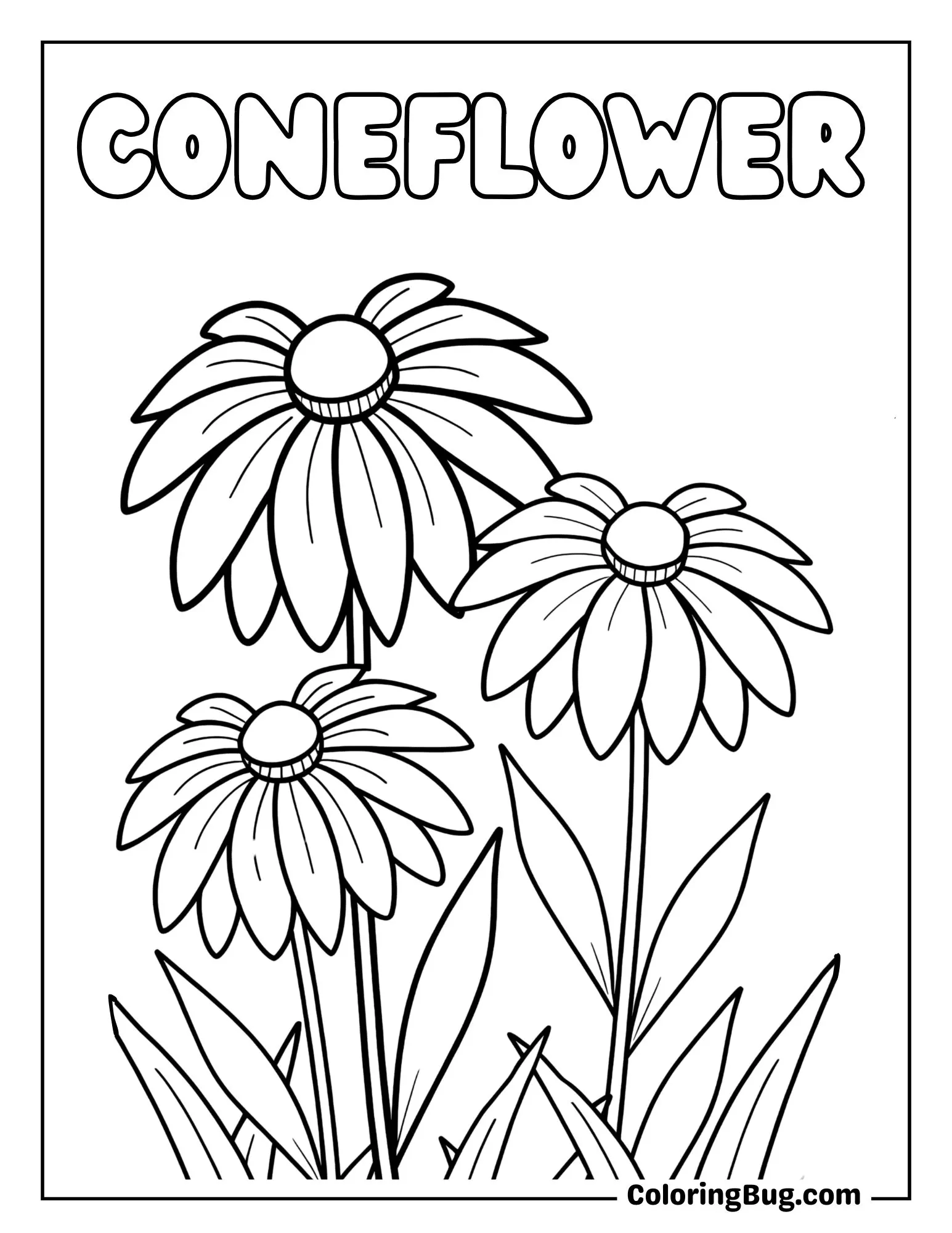 Coneflowers in a CotTage Garden Coloring Sheet