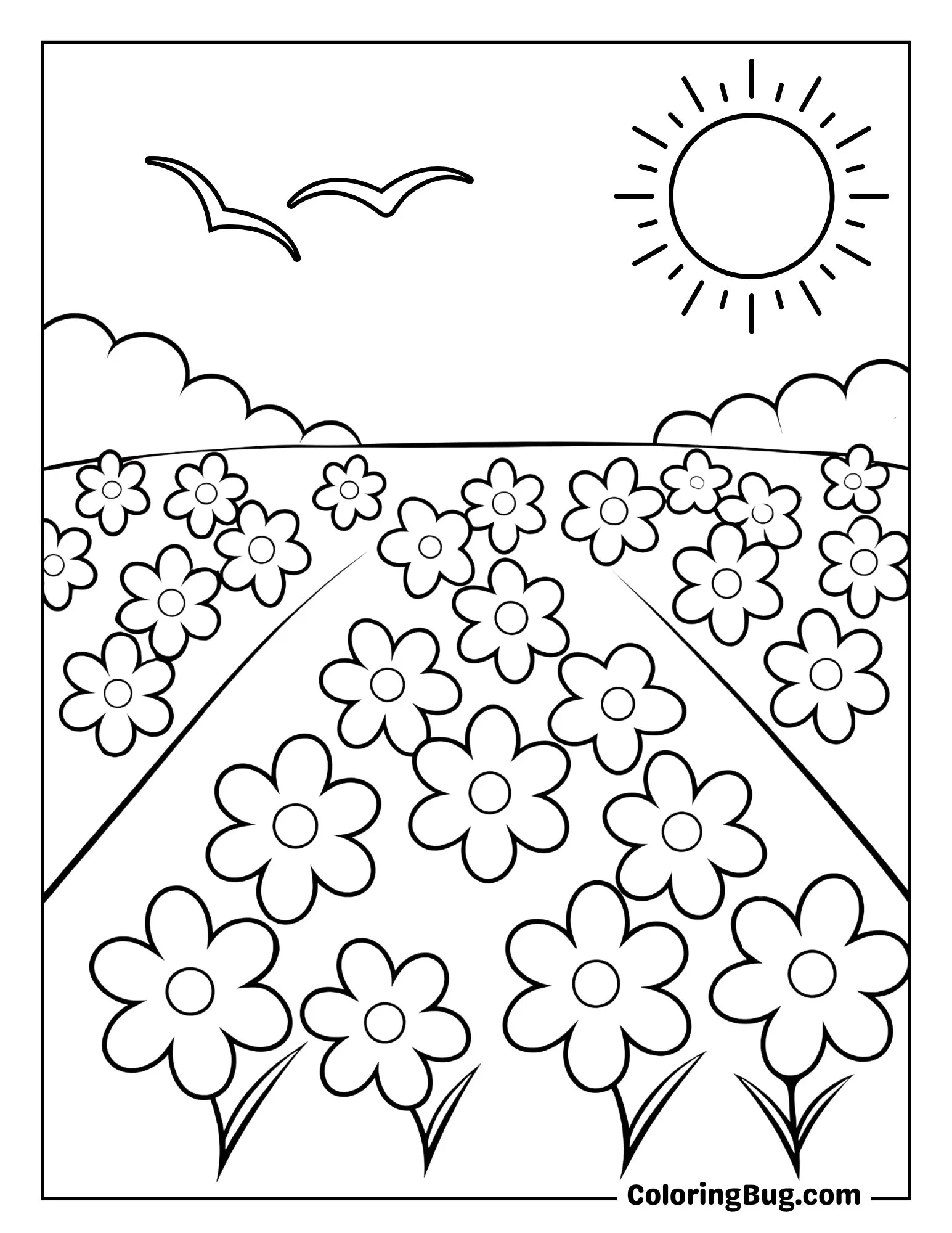 Flower Field Under the Summer Sun Coloring Sheet