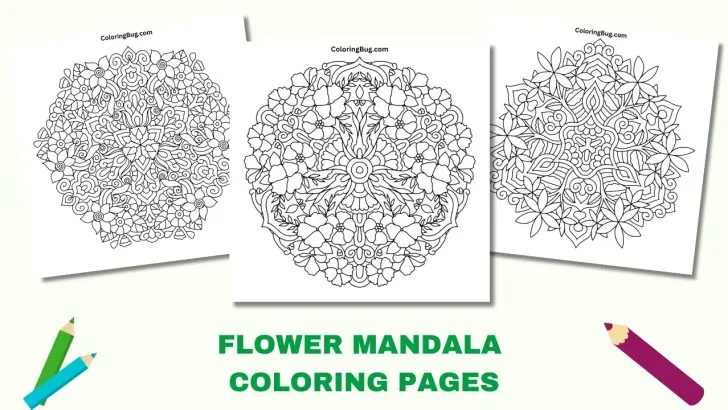 Flower Mandala Coloring Pages