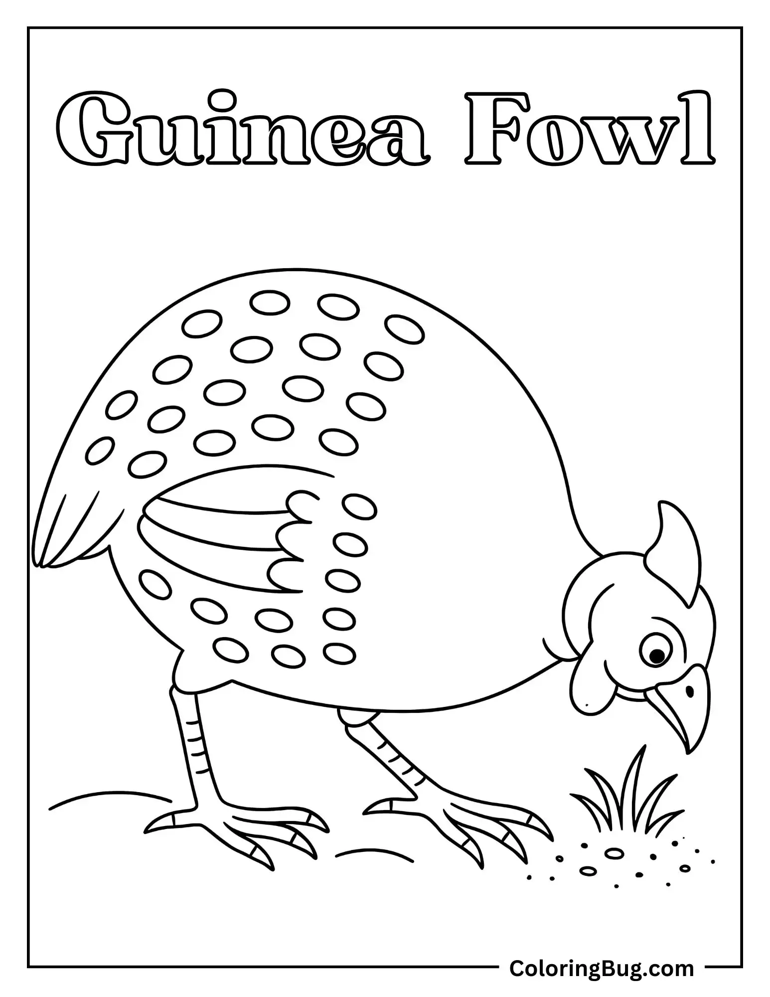 Guinea Fowl Scratching the Ground for Bugs Coloring sheet