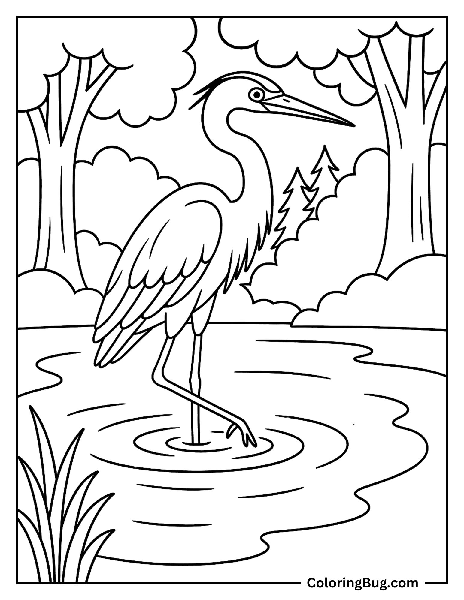 Heron Standing in Water Coloring sheet