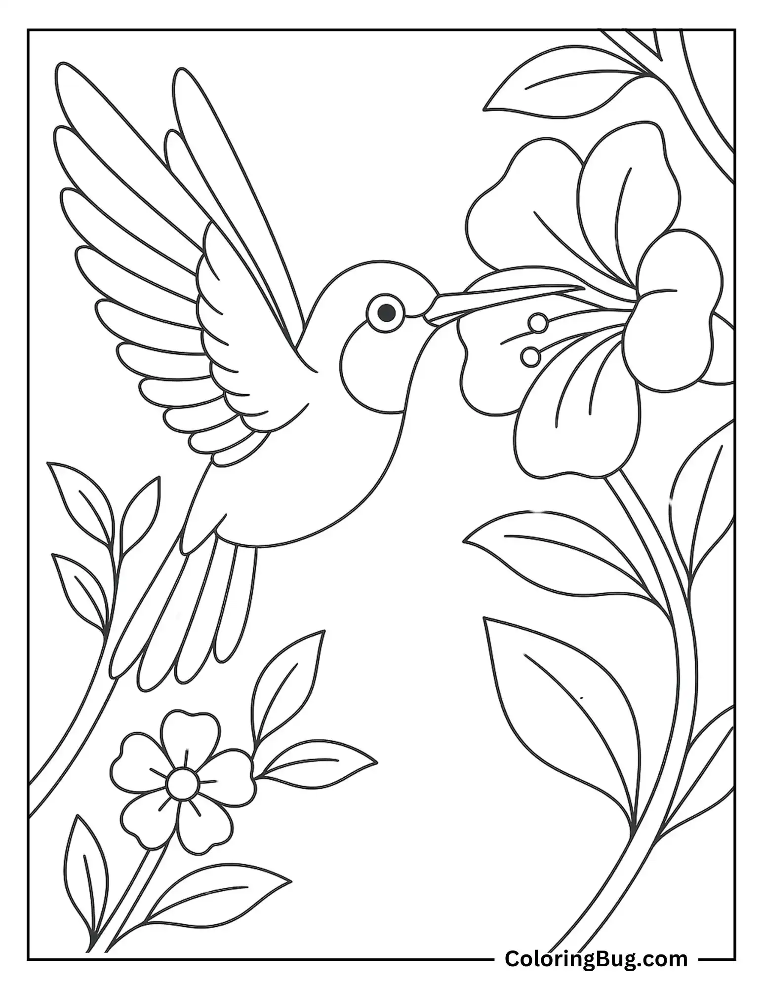 Hummingbird Drinking Nectar From Flower Coloring sheet