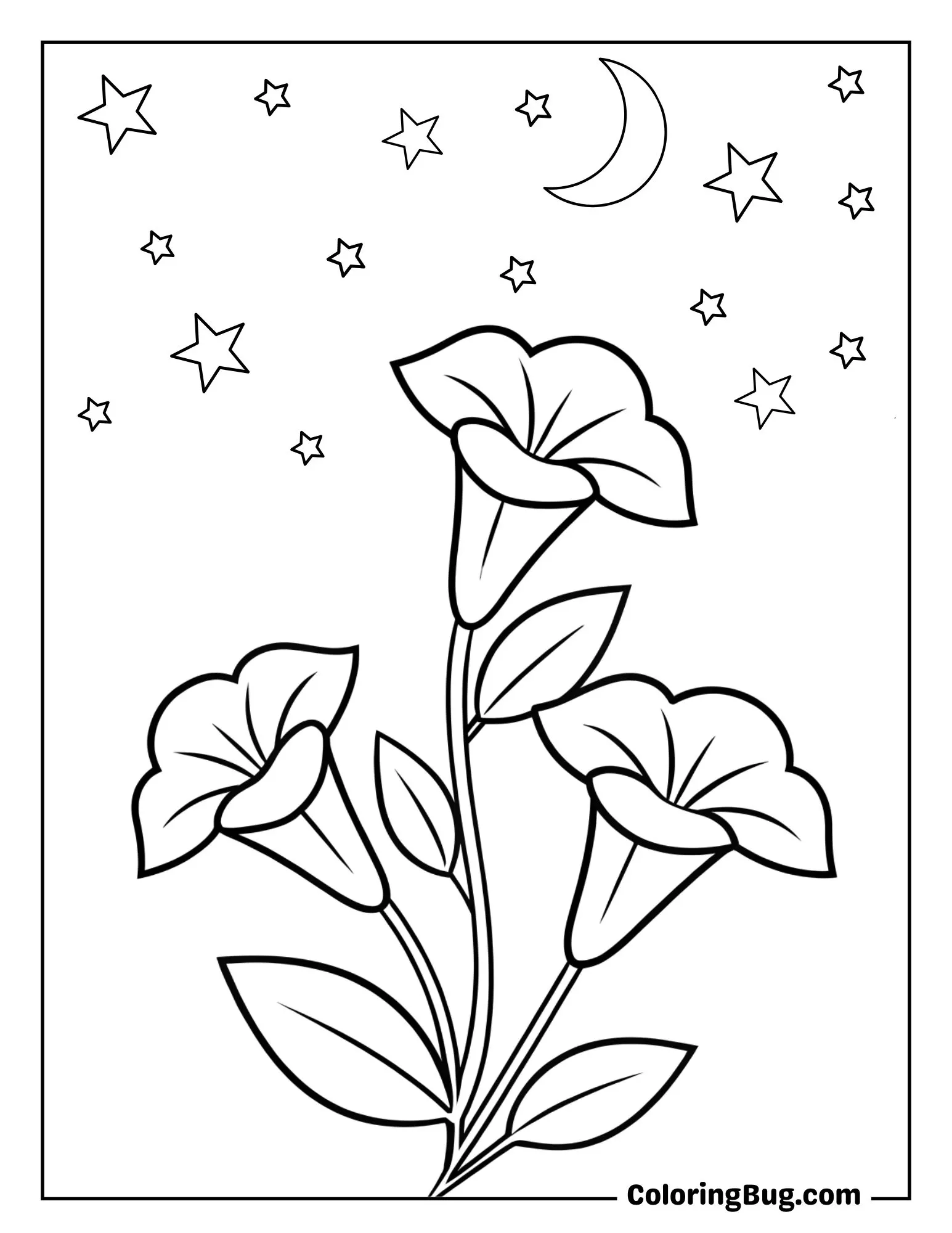 Moonflowers Blooming Under Stars Coloring Sheet