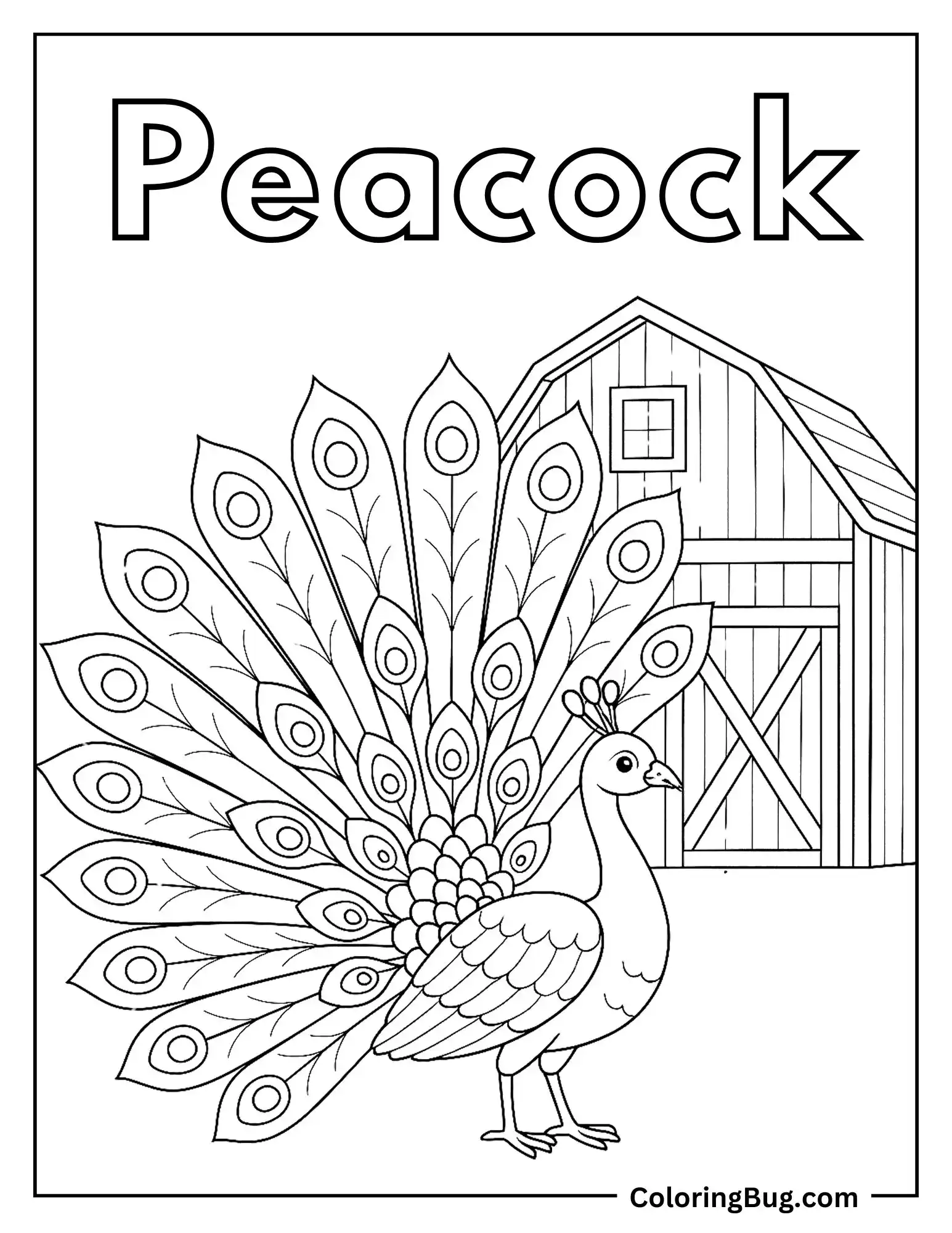 Peacock Spreading Feathers Near a Stable Coloring sheet