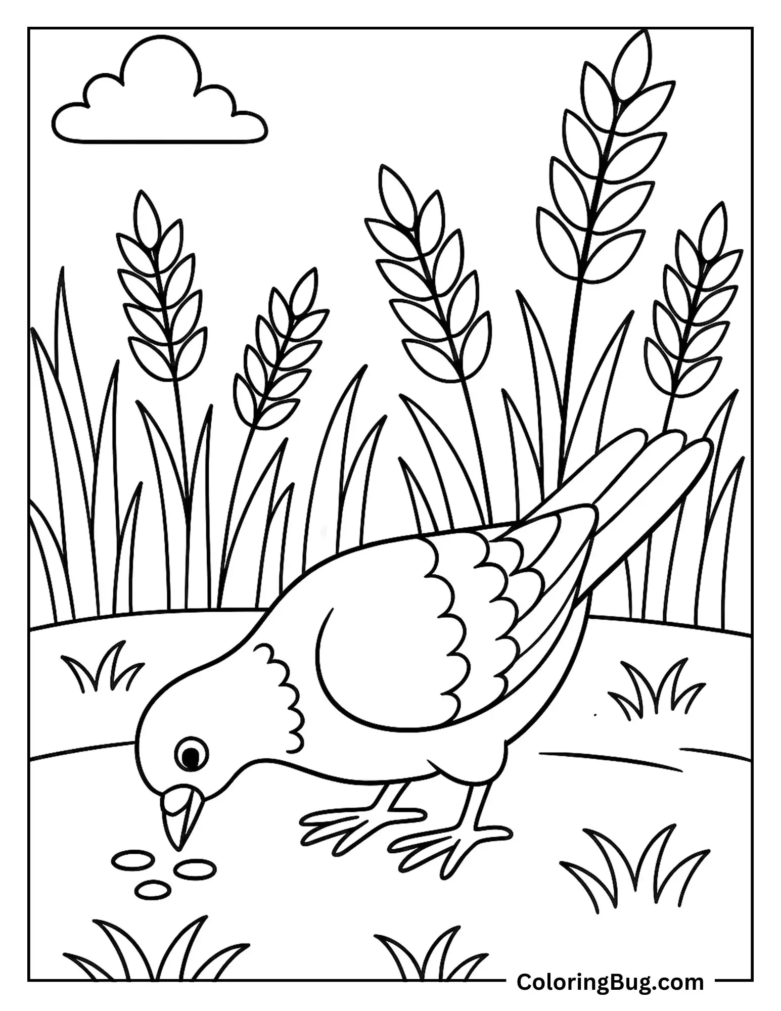 Pigeon Picking Grains in a Field Coloring sheet