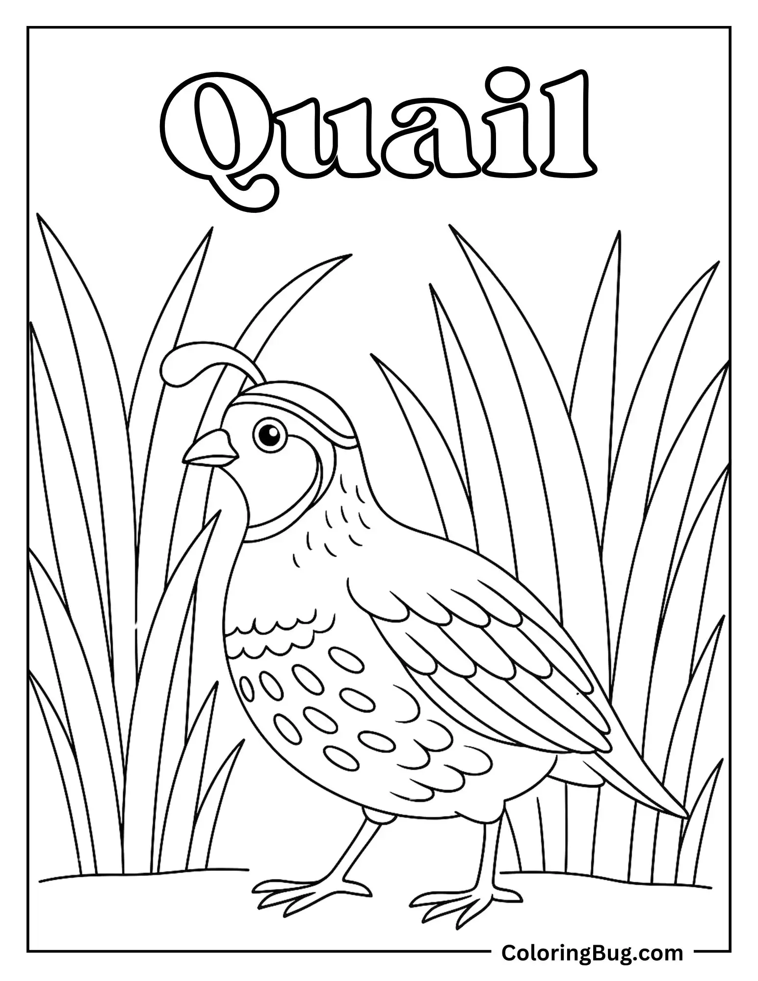 Quail Walking Through Tall Grass Coloring sheet