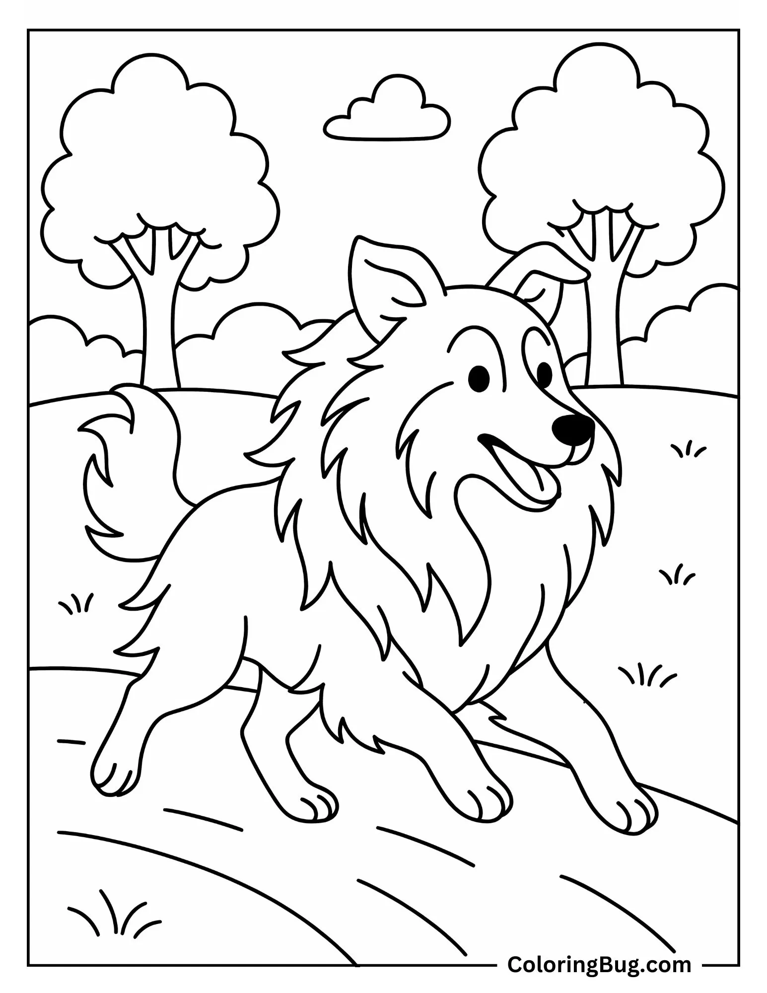Shetland Sheepdog Running in Park Coloring sheet