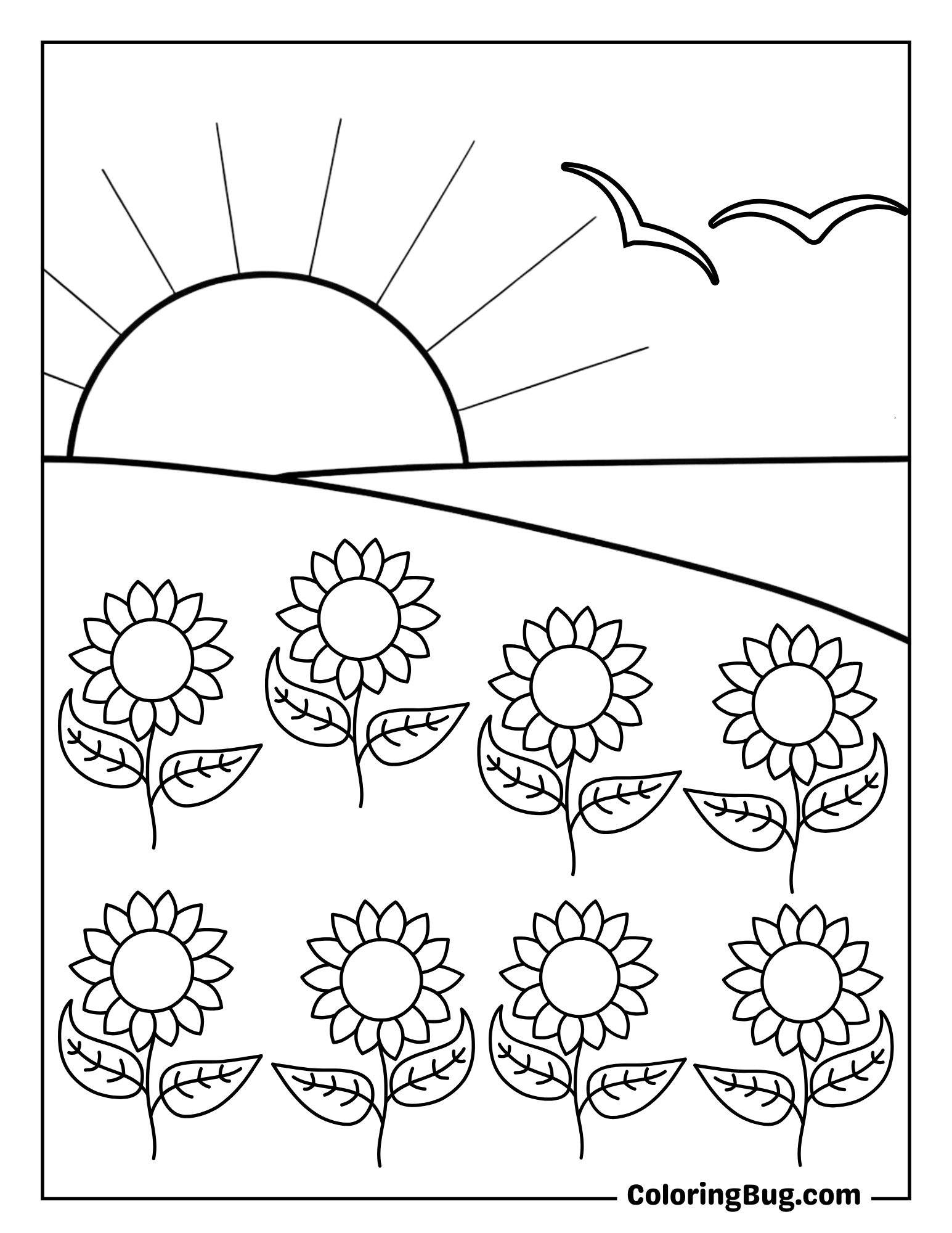 Sunflower Field at Sunset Coloring Sheet