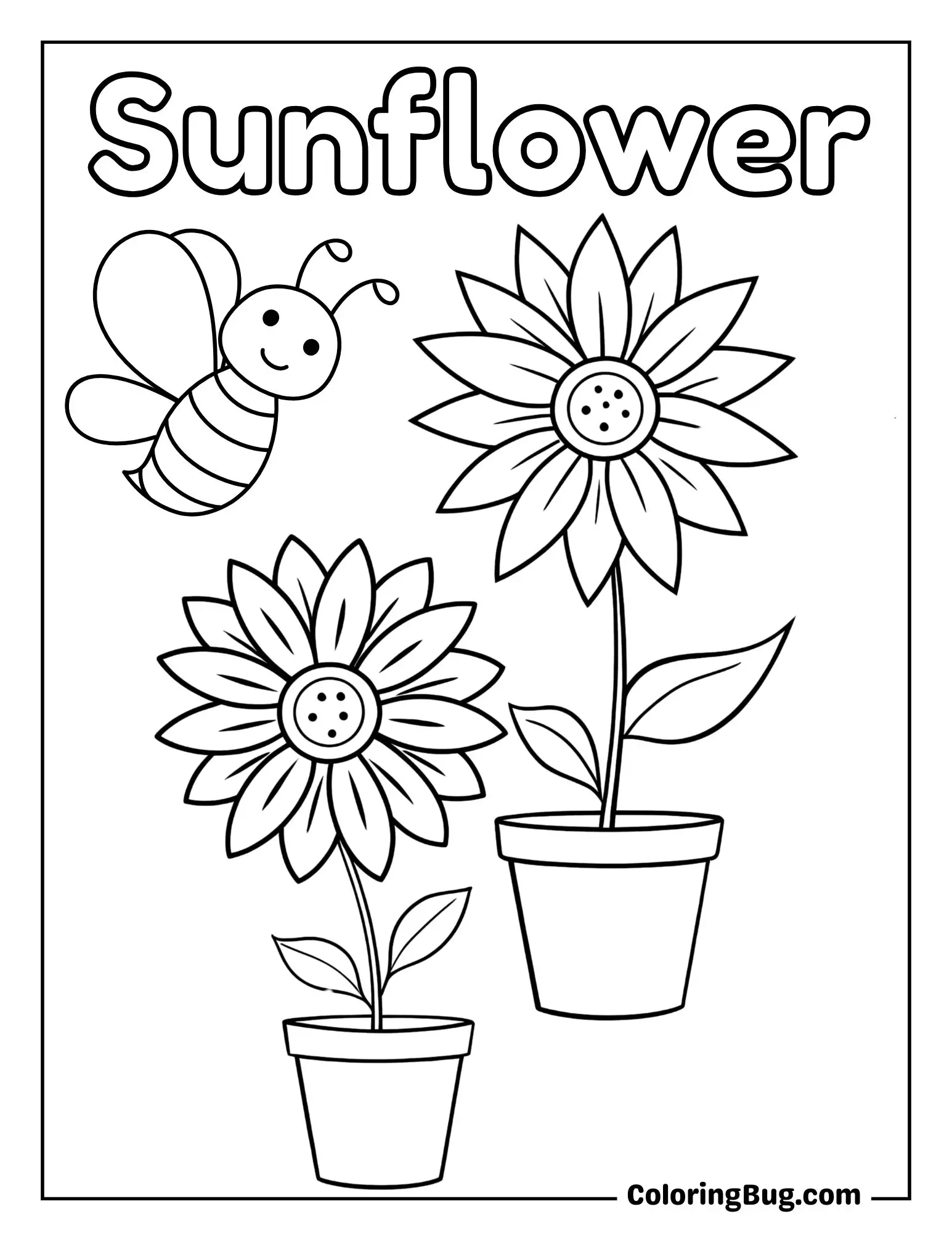 Sunflower in Two Pots Coloring Sheet