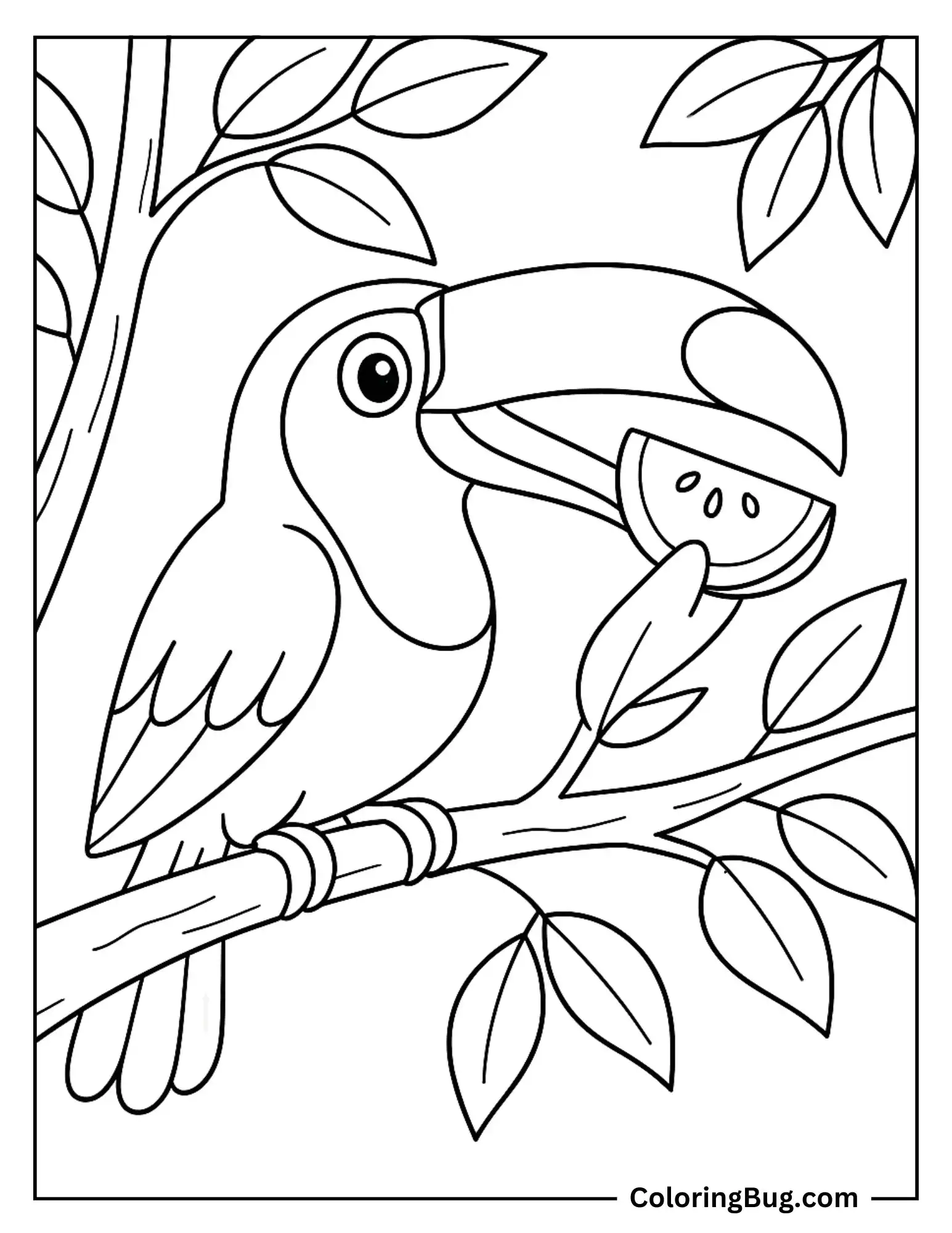 Toucan Eating Fruit in a Tree Coloring sheet