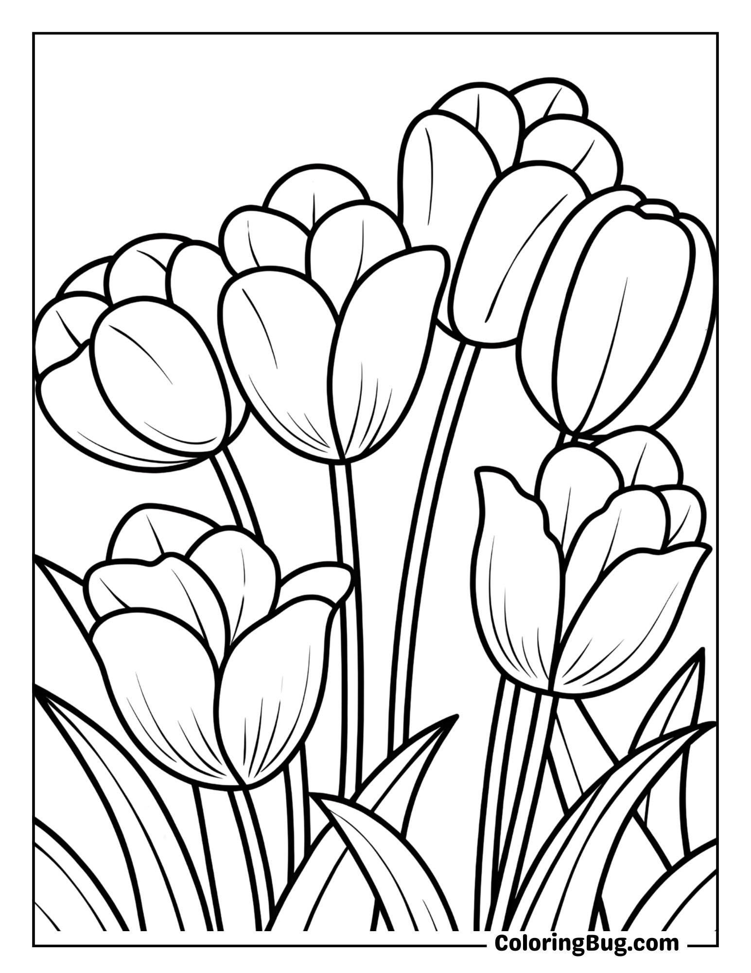 Tulips in a Summer Meadow Coloring Sheet