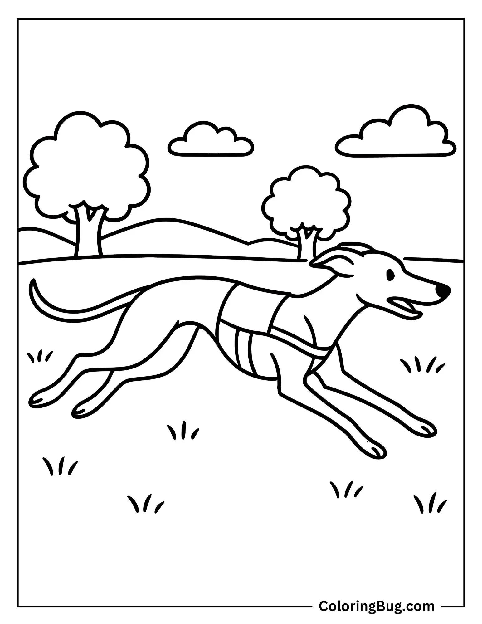 Whippet Racing Across the Open Field Coloring sheet