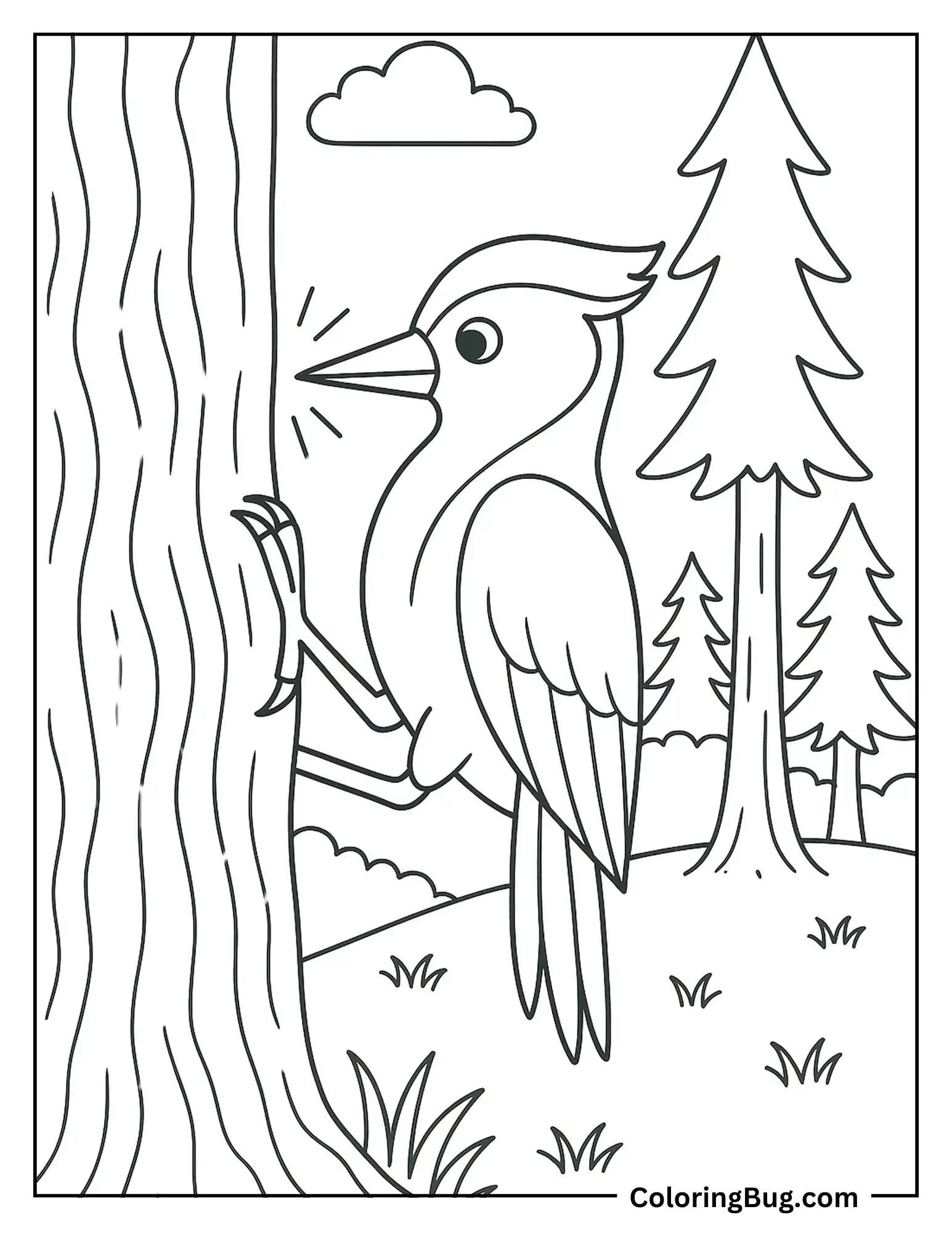Woodpecker Tapping on a Tree Coloring sheet