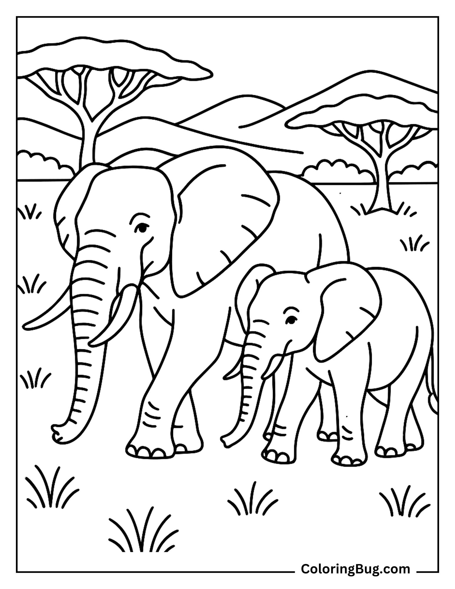 2 American Bush Elephants Walking in Safari Coloring Sheet