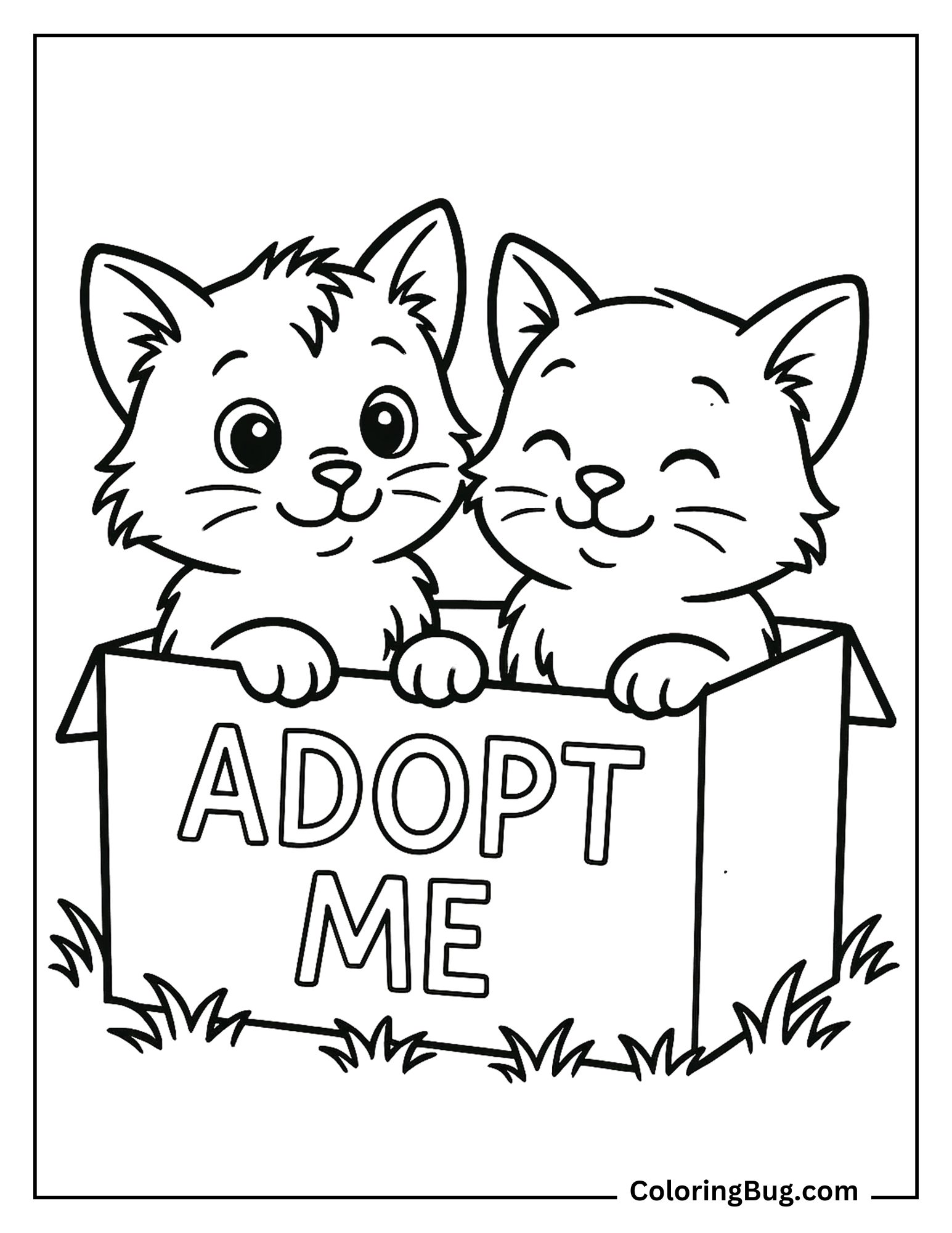2 Cute Kittens in Box For Adoption Coloring Sheet