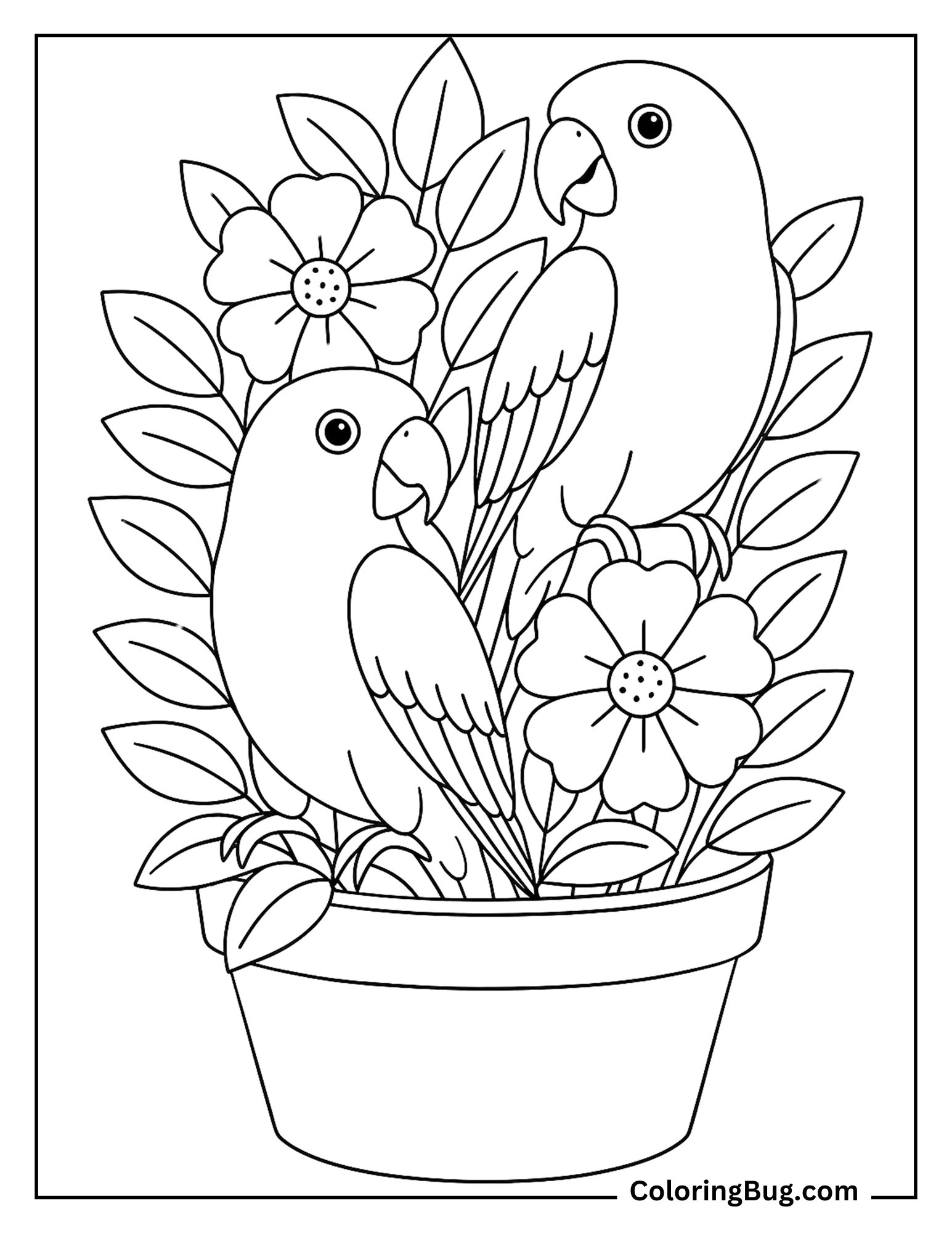2 Sun Conure in Flower Pot Coloring Sheet