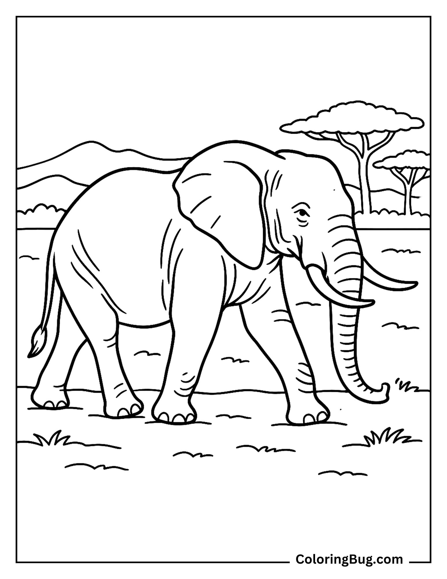 Adult Elephant Walking in Safari Coloring Sheet