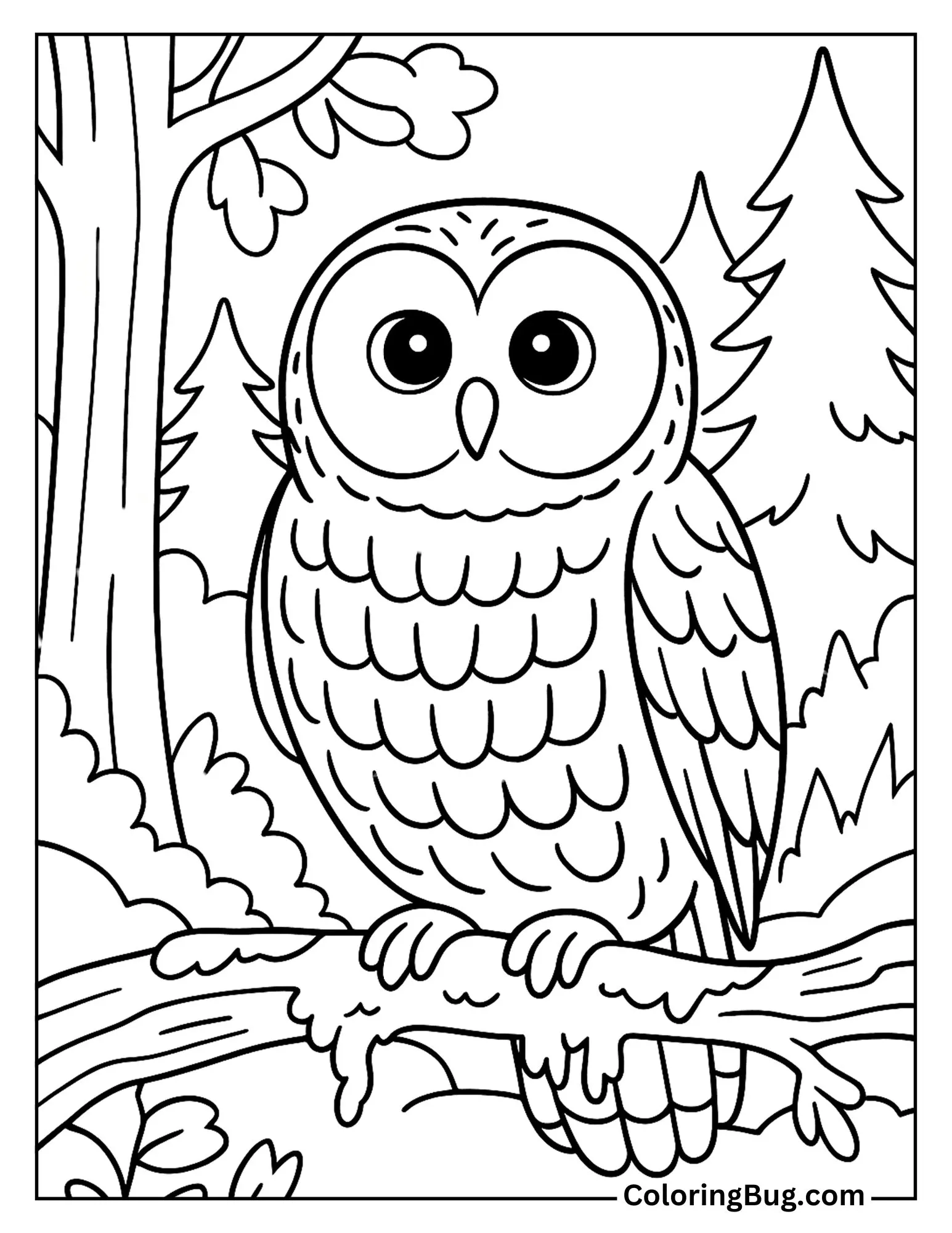 Barred Owl Perched on a Mossy Branch Coloring Sheet