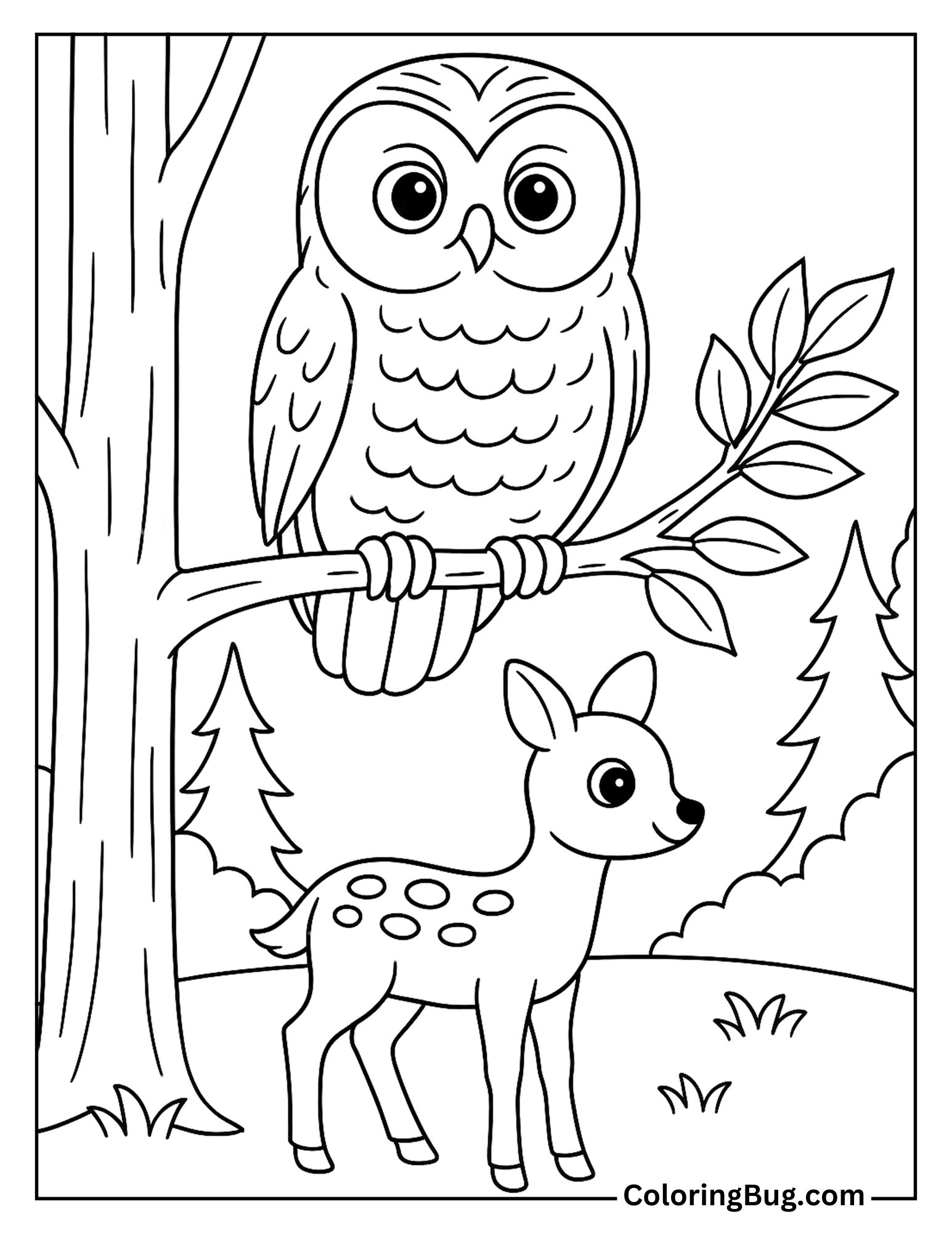 Barred Owl With Fawn Coloring Sheet