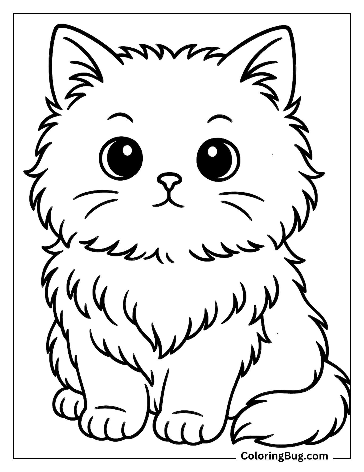 British Longhair Kitten Coloring Sheet