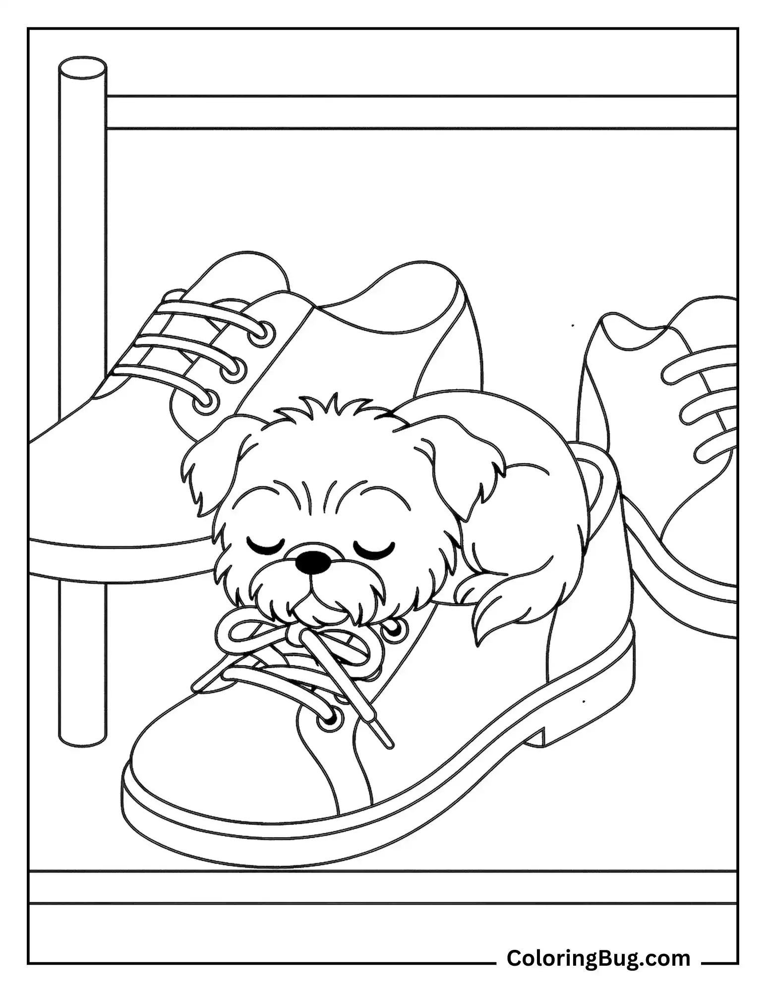 Brussels Griffon Puppy Curled up Inside a Shoe Coloring Sheet
