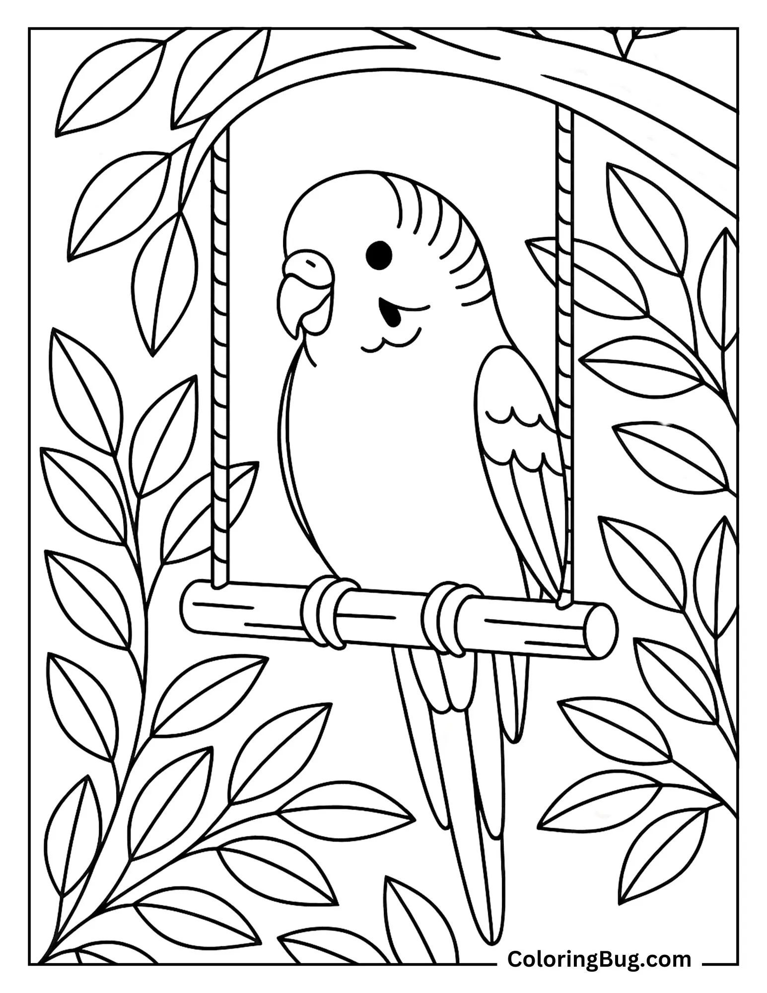 Budgie Parrot Swinging on Branch Coloring Sheet