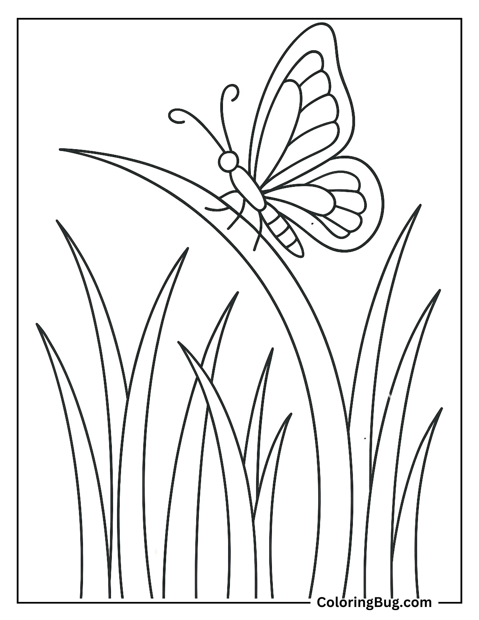 Butterfly Resting on a Blade of Grass Coloring Sheet