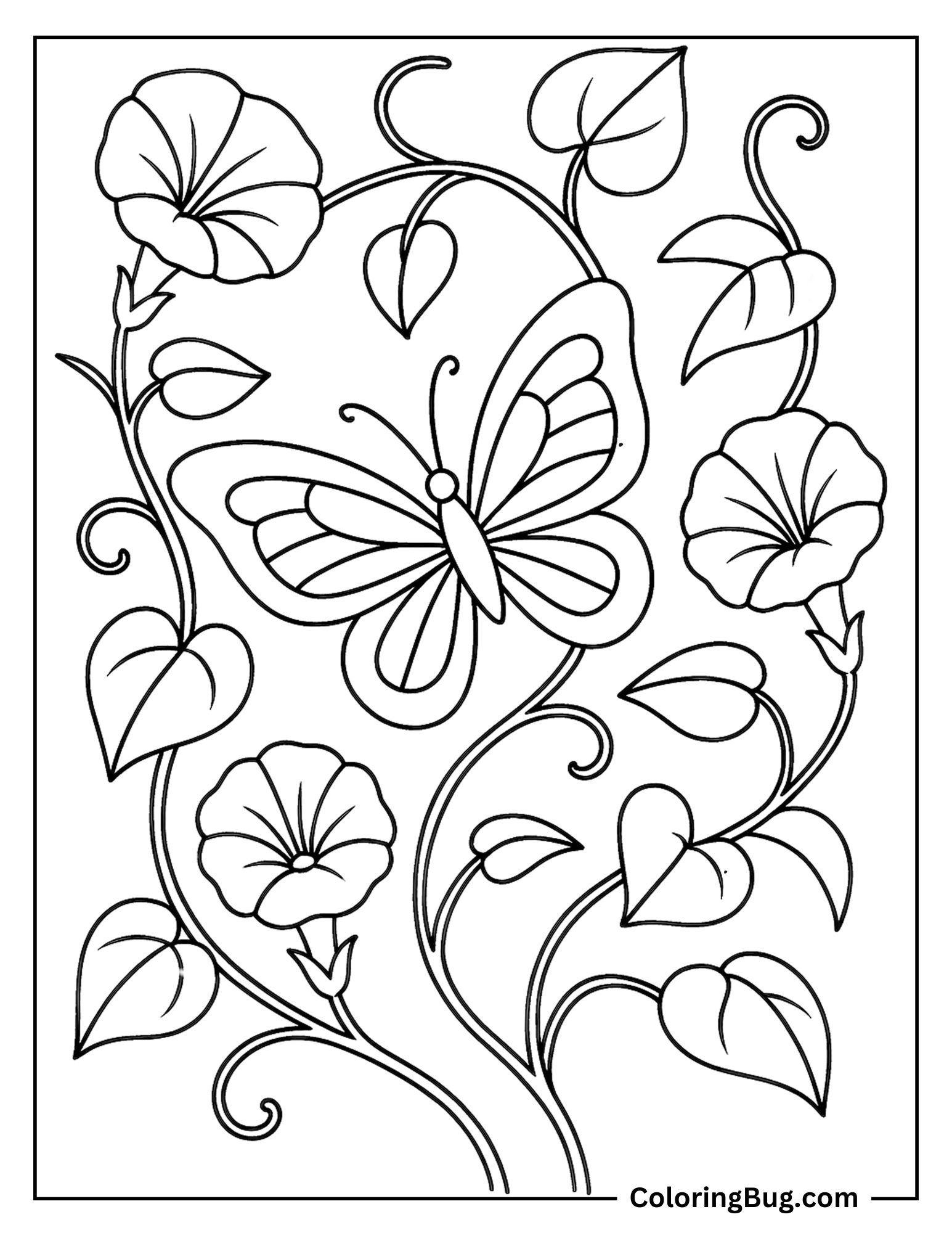 Butterfly on a Morning Glory Vine Coloring Sheet