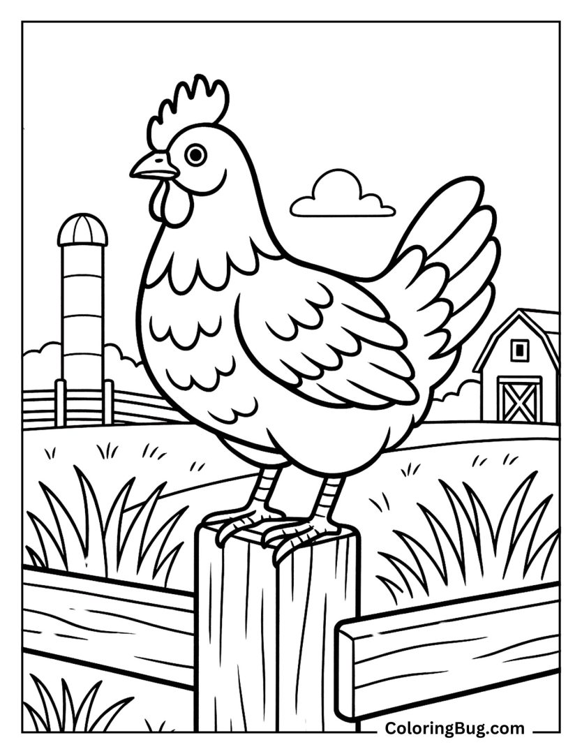 40 Chicken Coloring Pages (Free Printable PDFs)